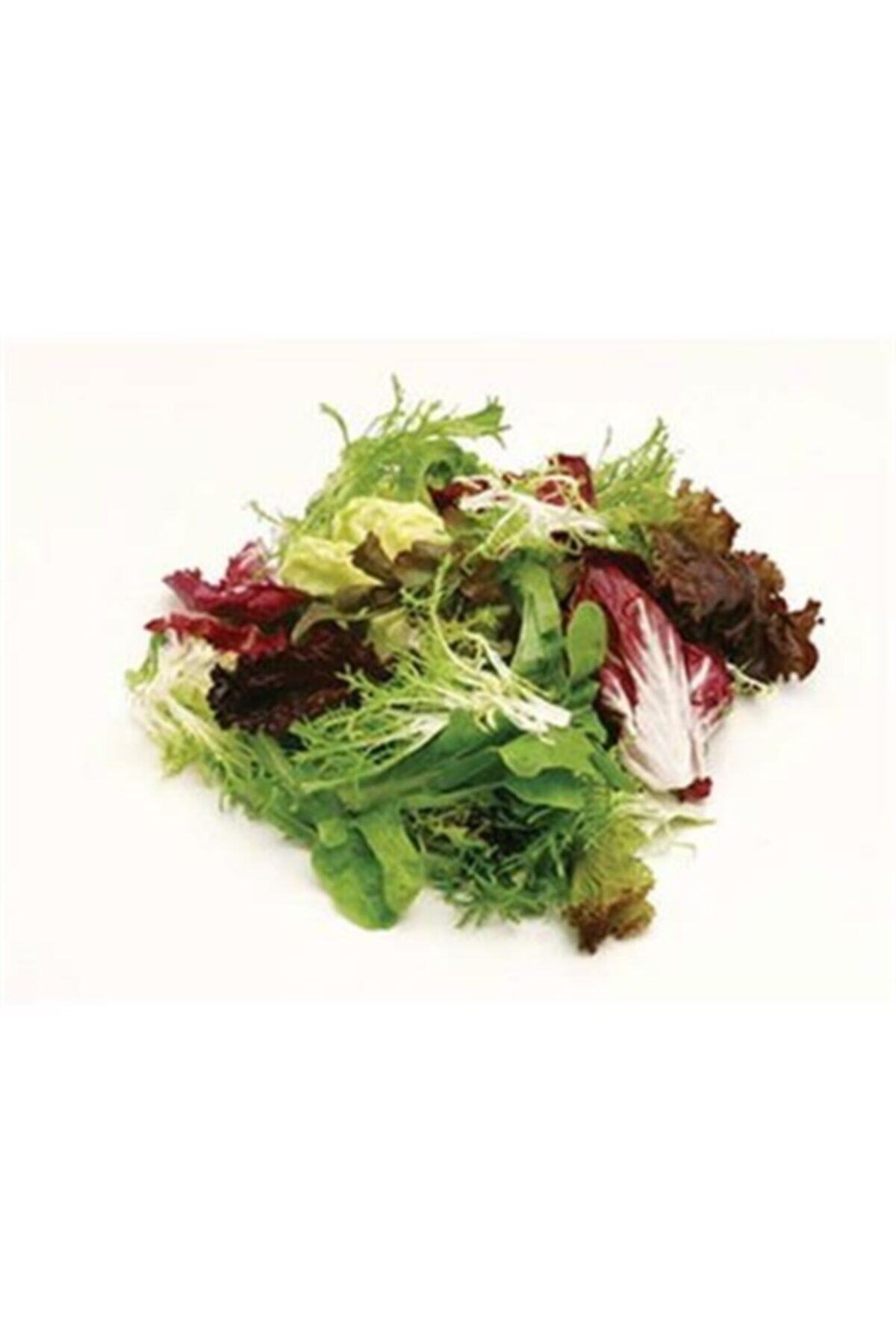 antalyasebzemeyve Akdeniz Karışık Salat 150 gr