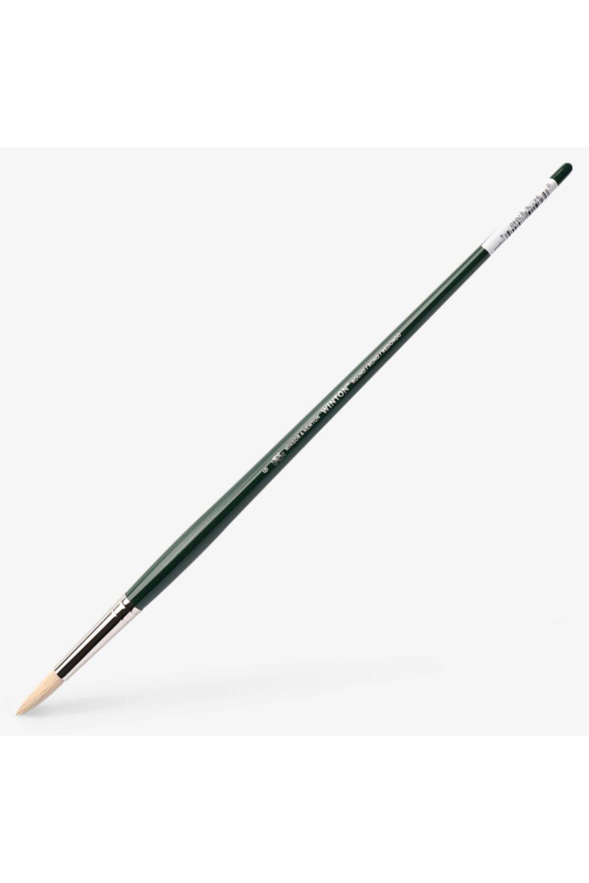 Winsor Newton Winsor & Newton : Winton : Uzun Sap Yuvarlak Fırça No : 6