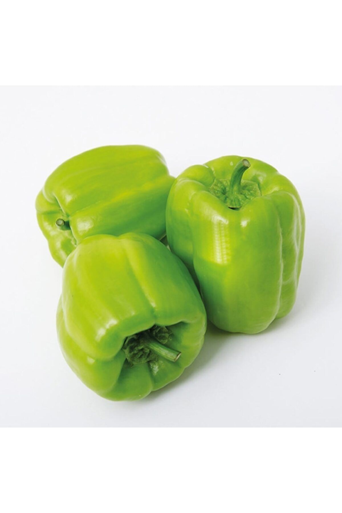 antalyasebzemeyve Dolma Biber 1 Kg.