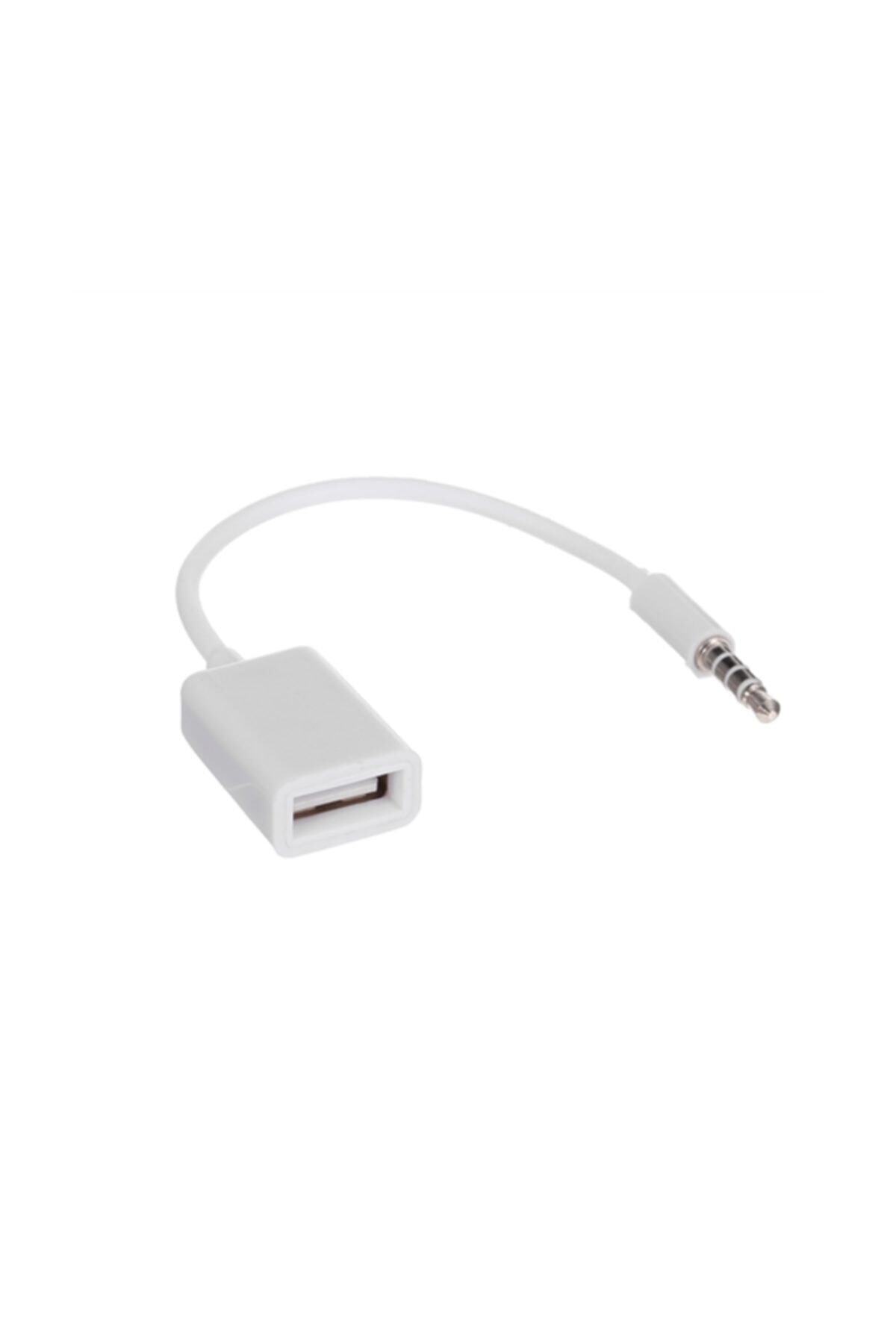 PSG - Aux Dişi Usb Giriş Otg Kablosu