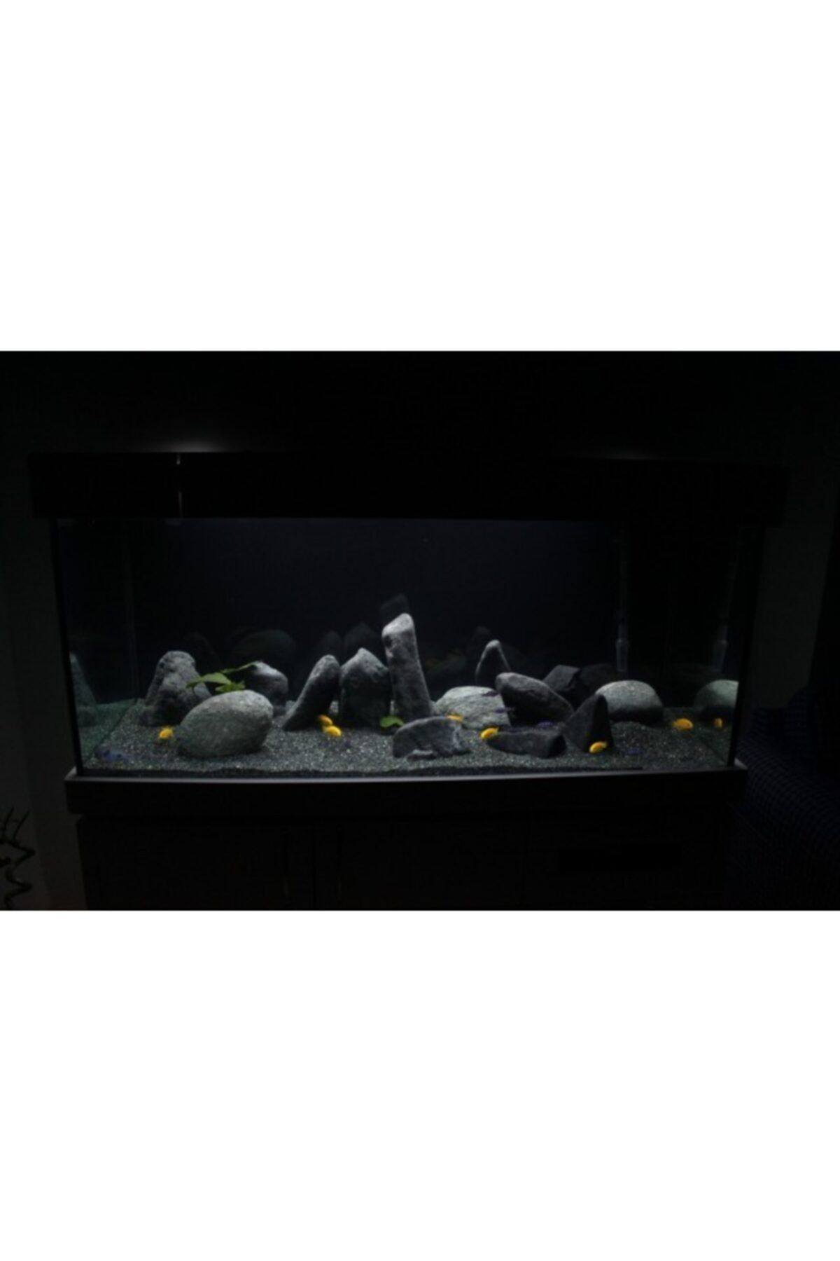 Kalyon Akvaryum Kumu Bazalt (1-3 Mm) - (2-4 Mm) Bitki Kumu 10 Kg Bazaltkum
