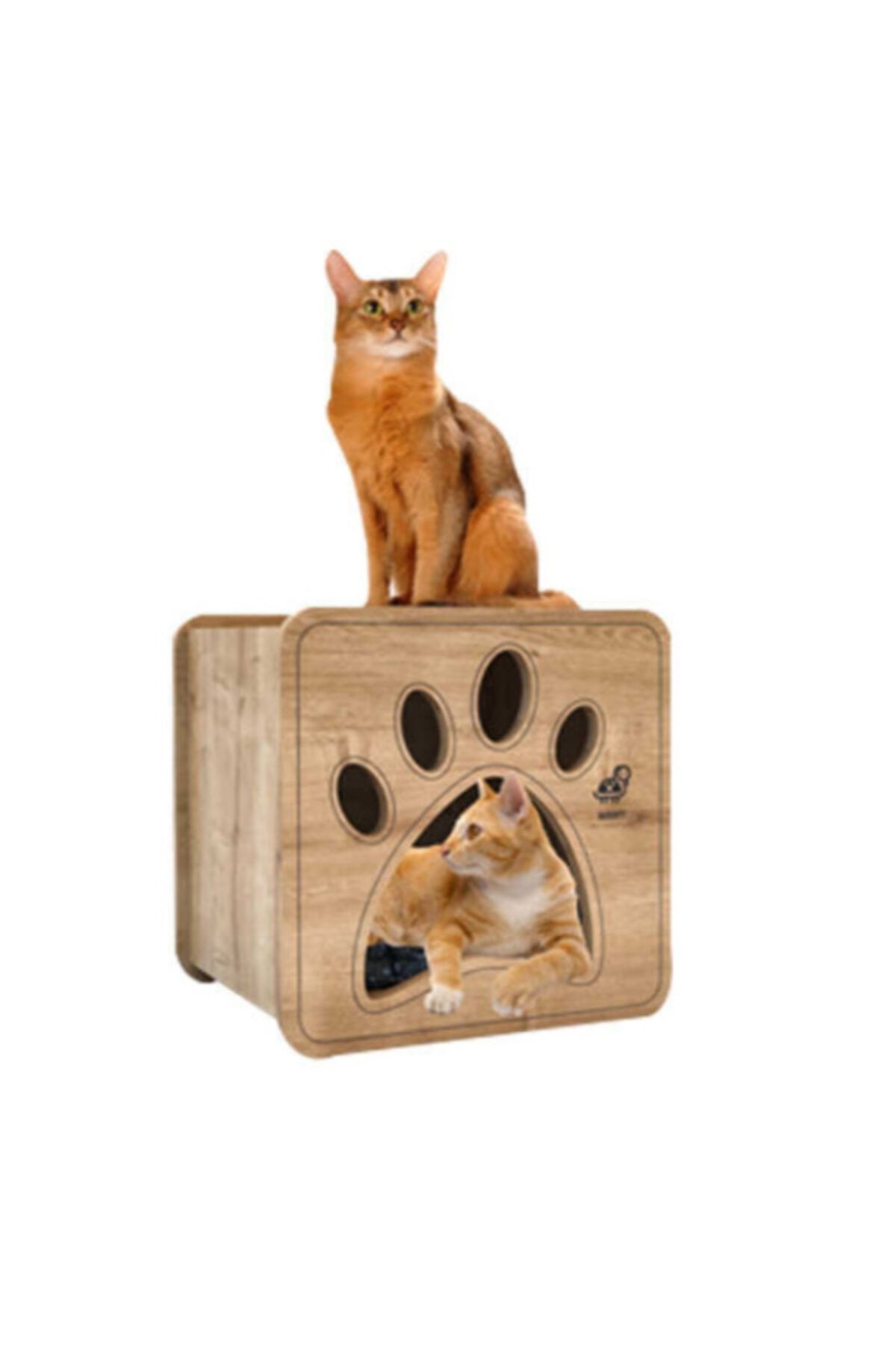 Woofy Catsy Kedi Evi 12a