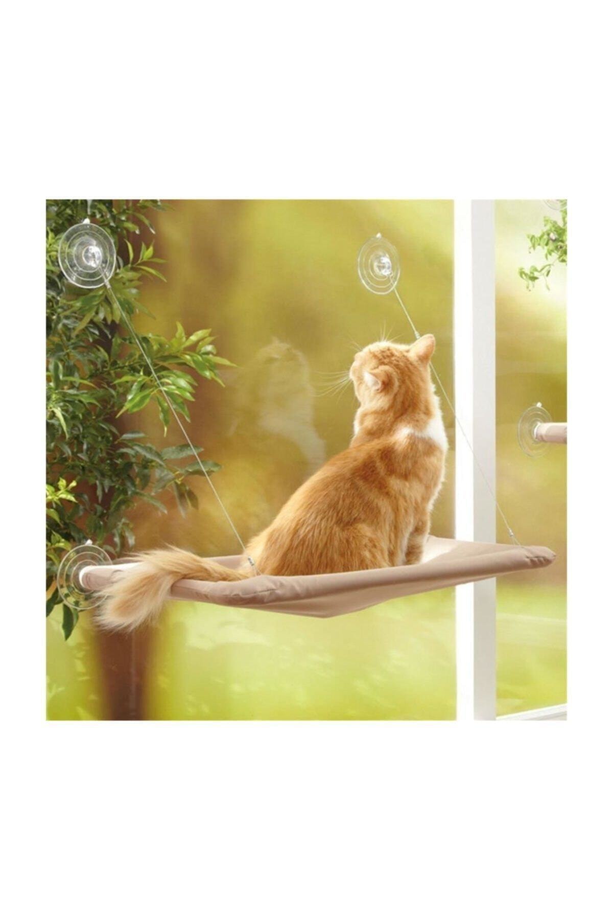 Parmeva Cama Asılan Kedi Yatağı Minderi (yapışan Vantuzlu)