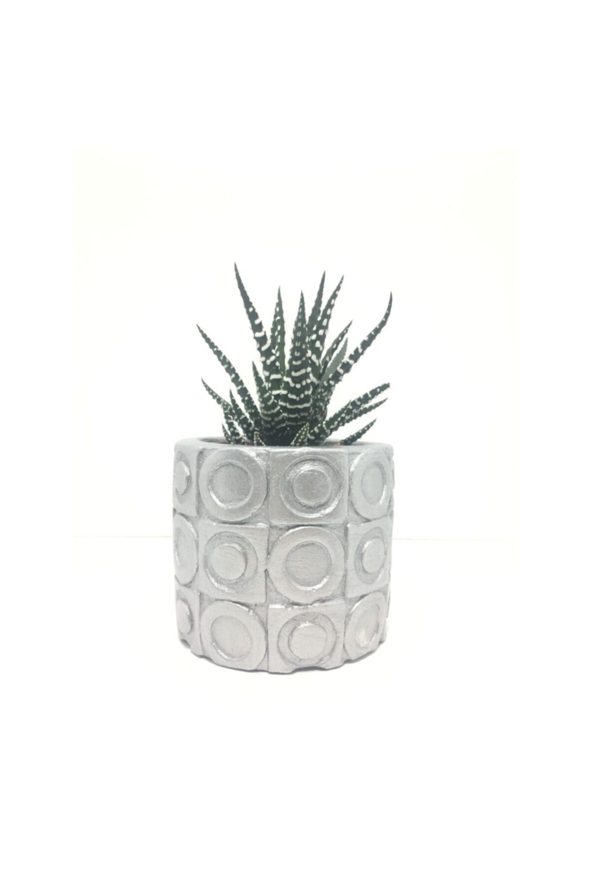 EHediyeci Oval Desenli Beton Saksı Ve Canlı Sukulent Ye1606