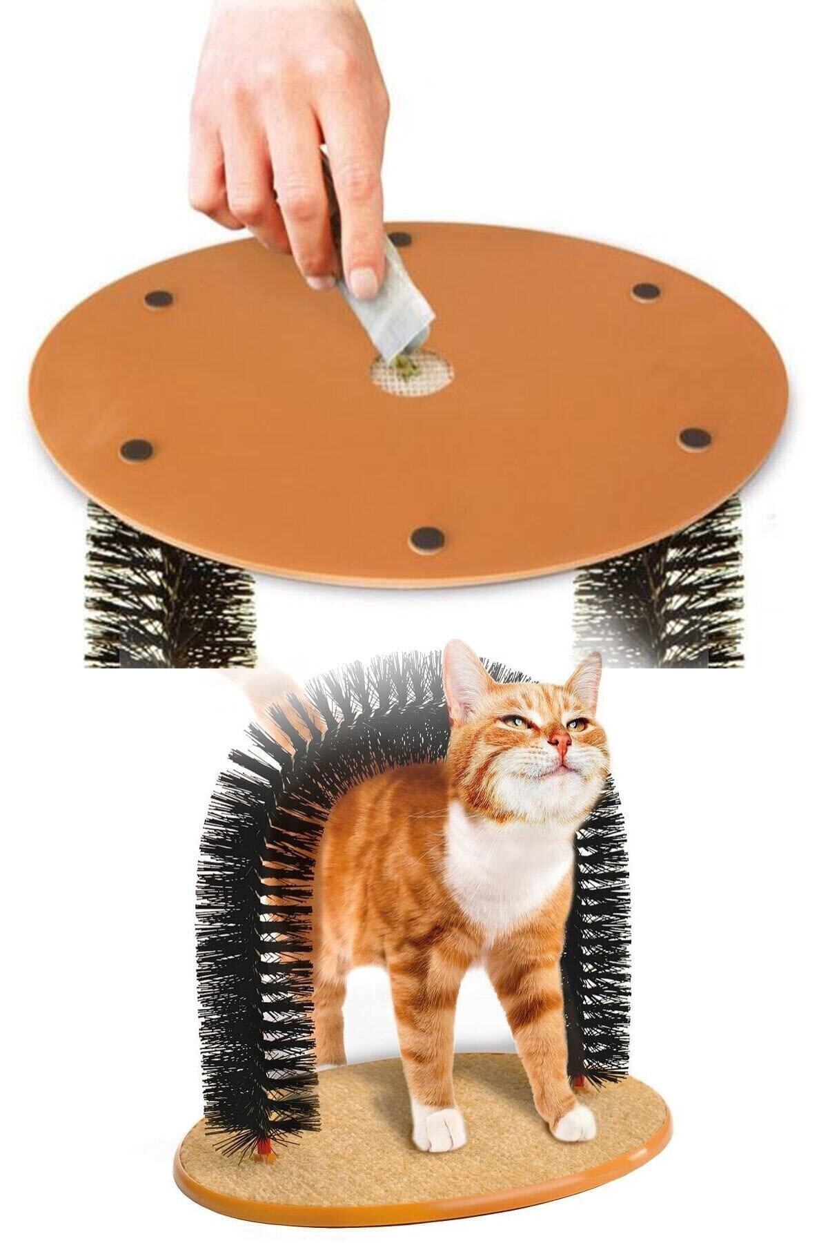 ModernAVM Modern Avm Purrfect Arch Kedi Tırmalama Ve Kaşınma Tahtası