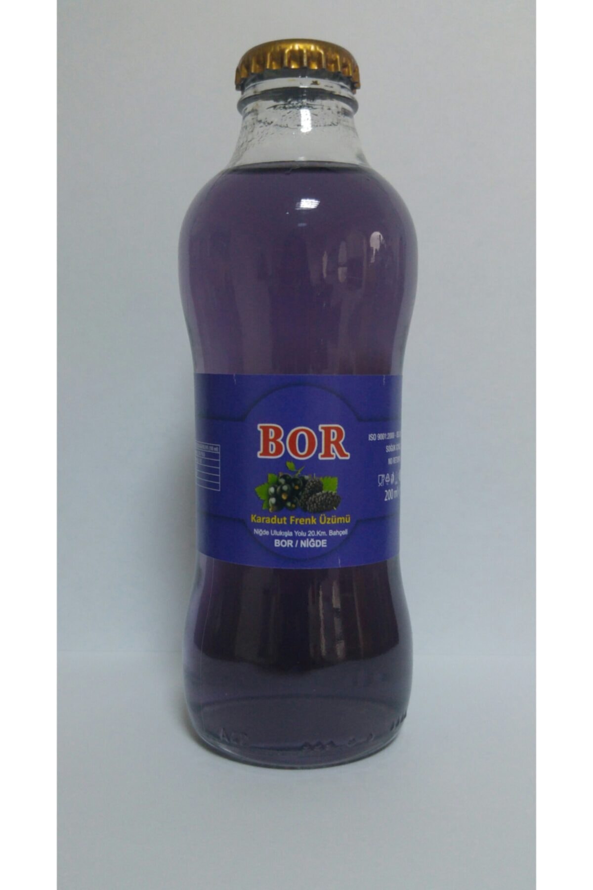 Bor 200 ml Karadut & Frenk Üzümü 24 Lü