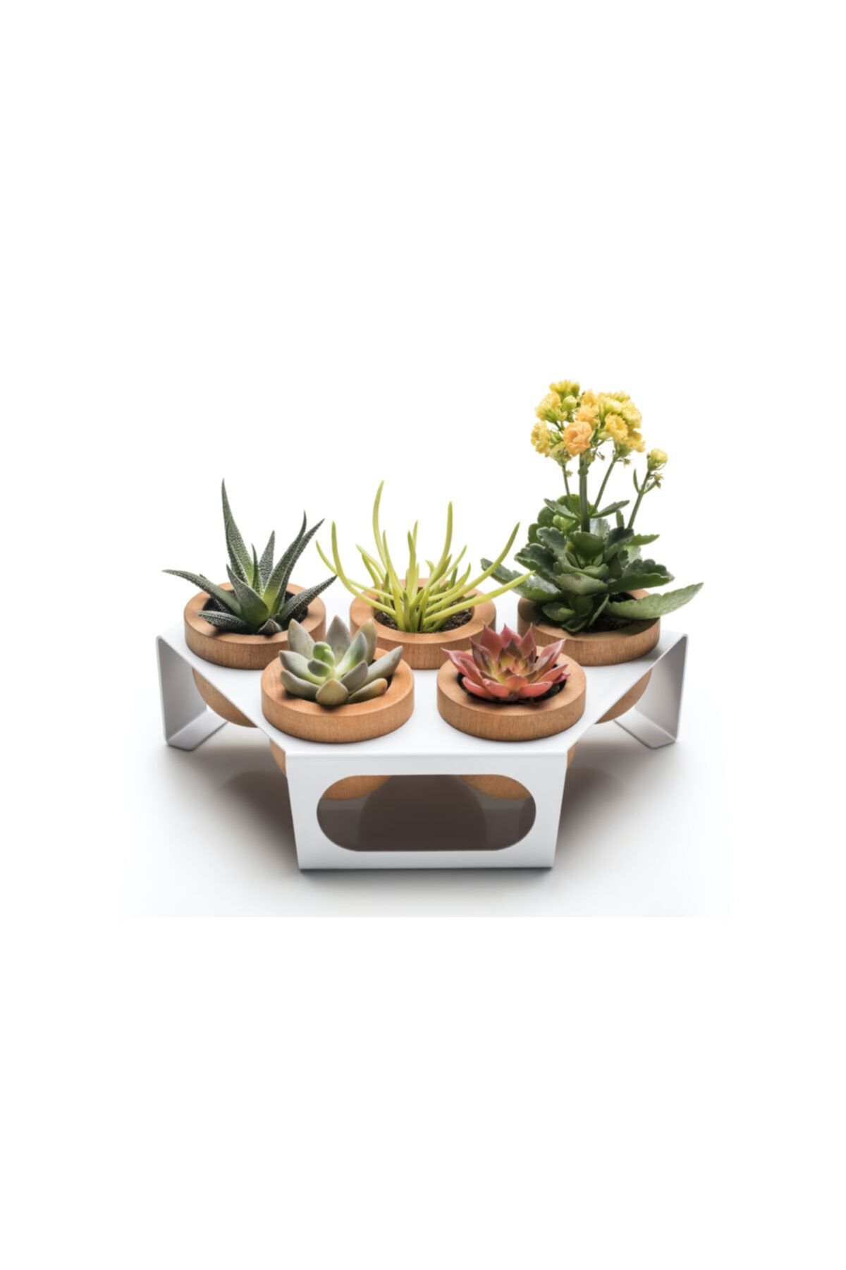 HalohopeDesign Beyaz, Metal Stantlı Skulent Saksısı 5'li