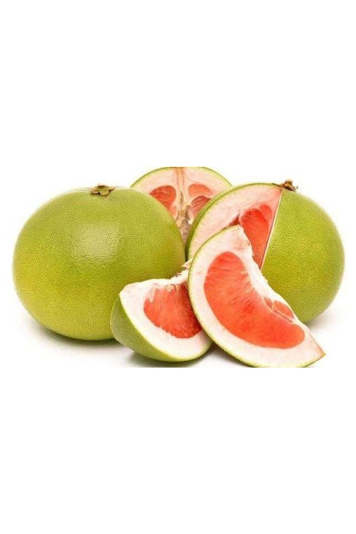 UZAY BAHÇESİ Pamelo/ Şadok / Ağaç Kavunu Citrus Maxıma 100 Cm Tüplü