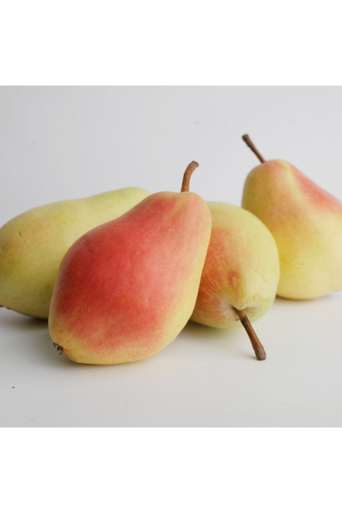 bibakmışsınkapında Santa Maria Armut - 1 kg