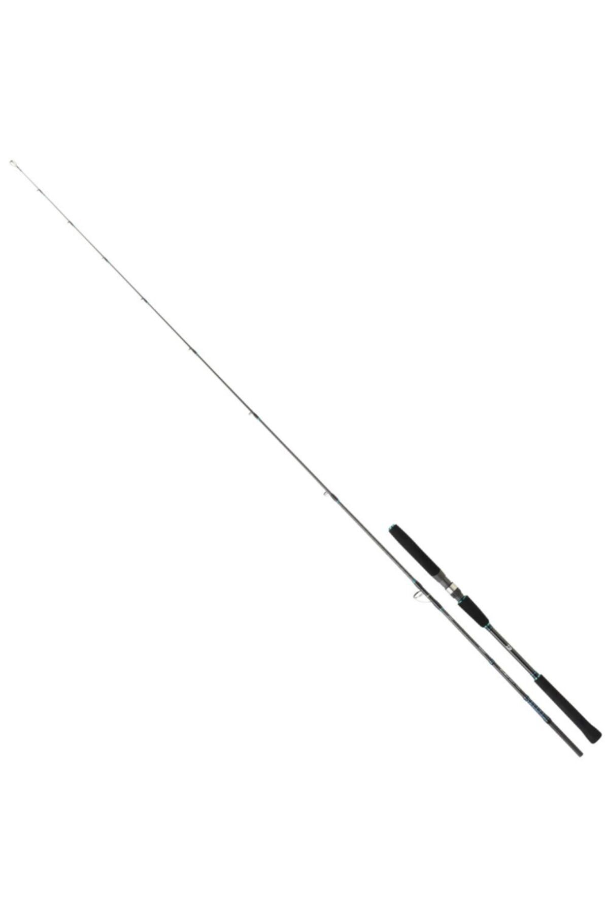 DAIWA Saltist Jigging Iı 191cm 60-150g Jigging Olta Kamışı