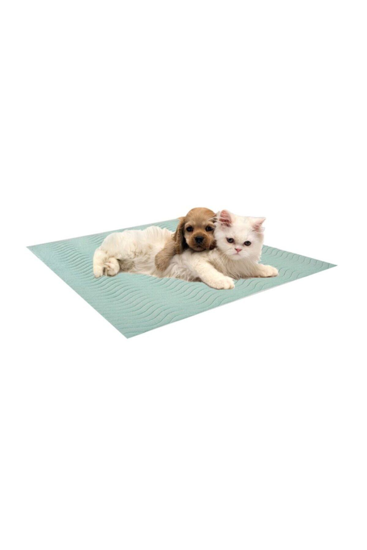 ATA EXCLUSIVE FABRICS Kediler Için 5 Katlı Kapitoneli, Sıvı Geçirmez, Yıkanabilir, Emici Koruyucu Örtü (75X90 CM)