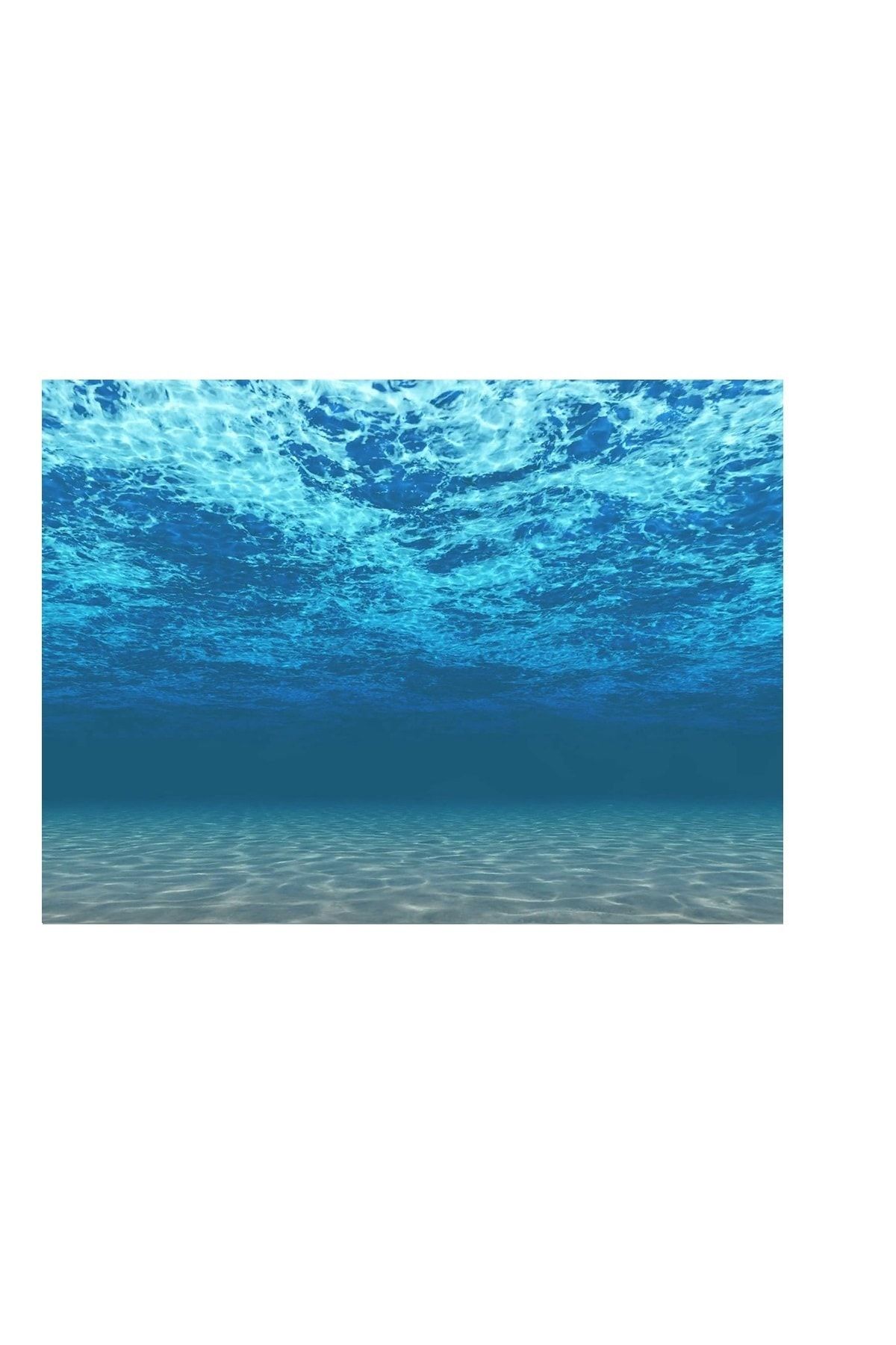 Kanki Pet 125 Cm Akvaryum Arka Fon Yapıştırma Kp1256308 125x63 Cm