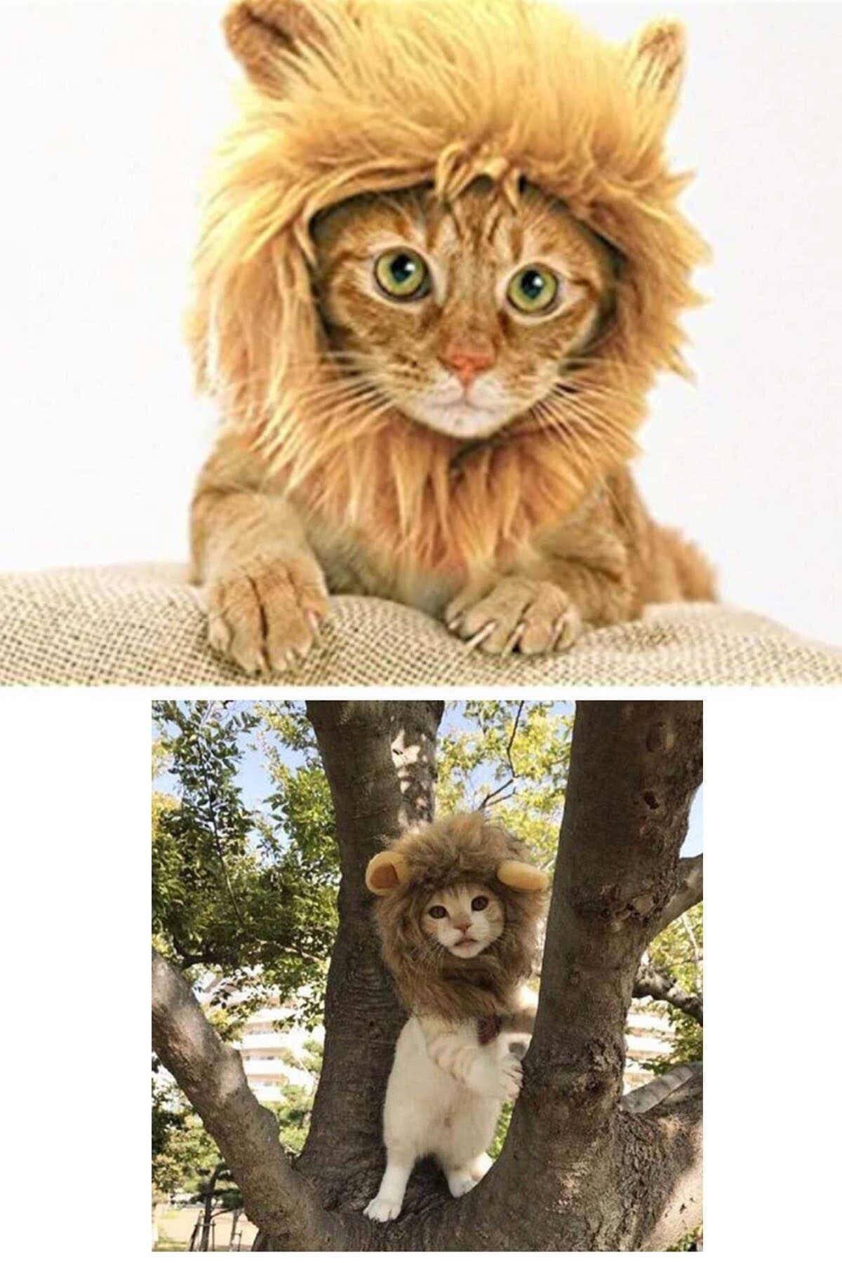 Chermik Kedi Peruğu Aslan Yelesi Kep Maskot Kostüm Pet Şapka