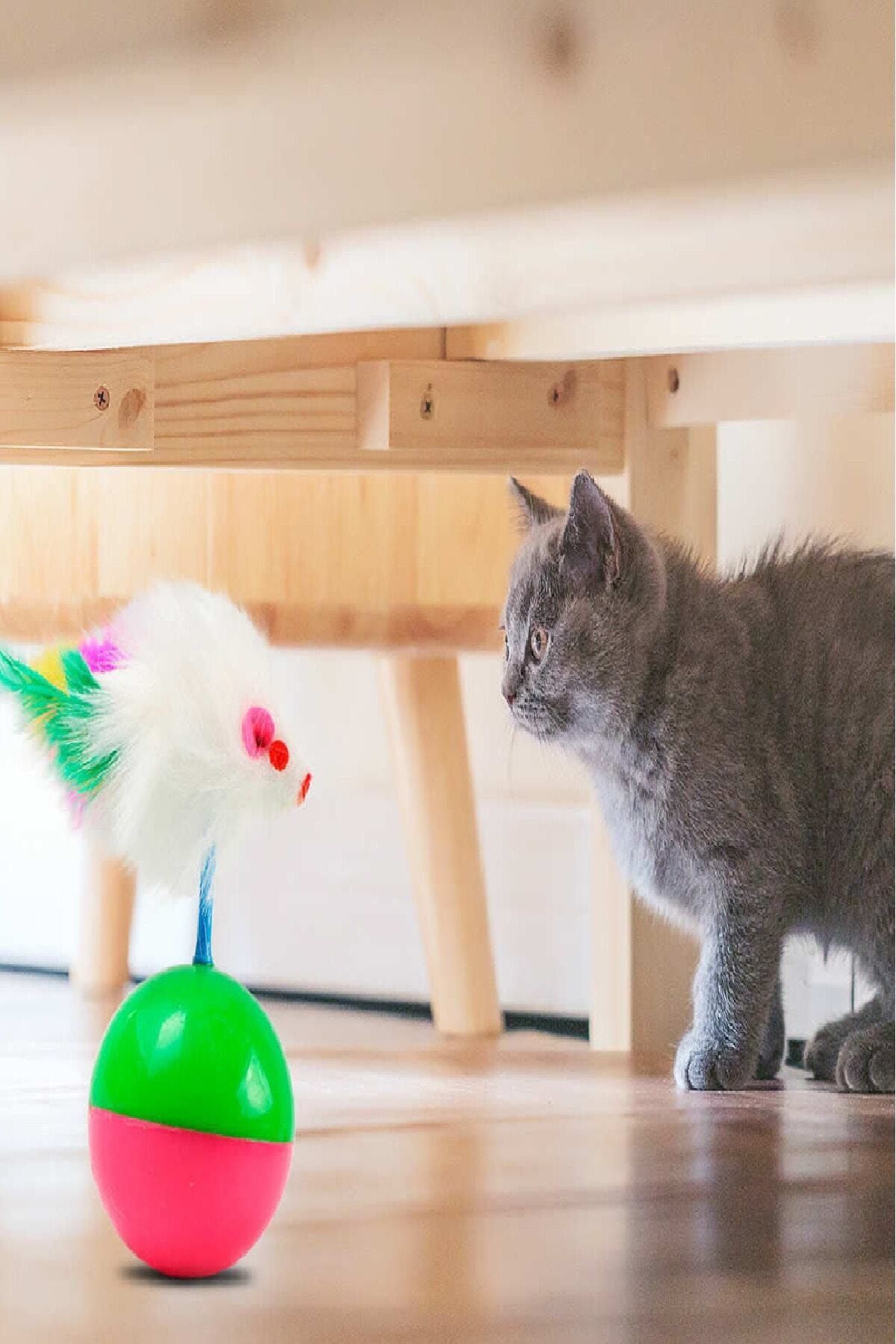 BLUE HOME'S Hacı Yatmaz Kedi Oyun Topu