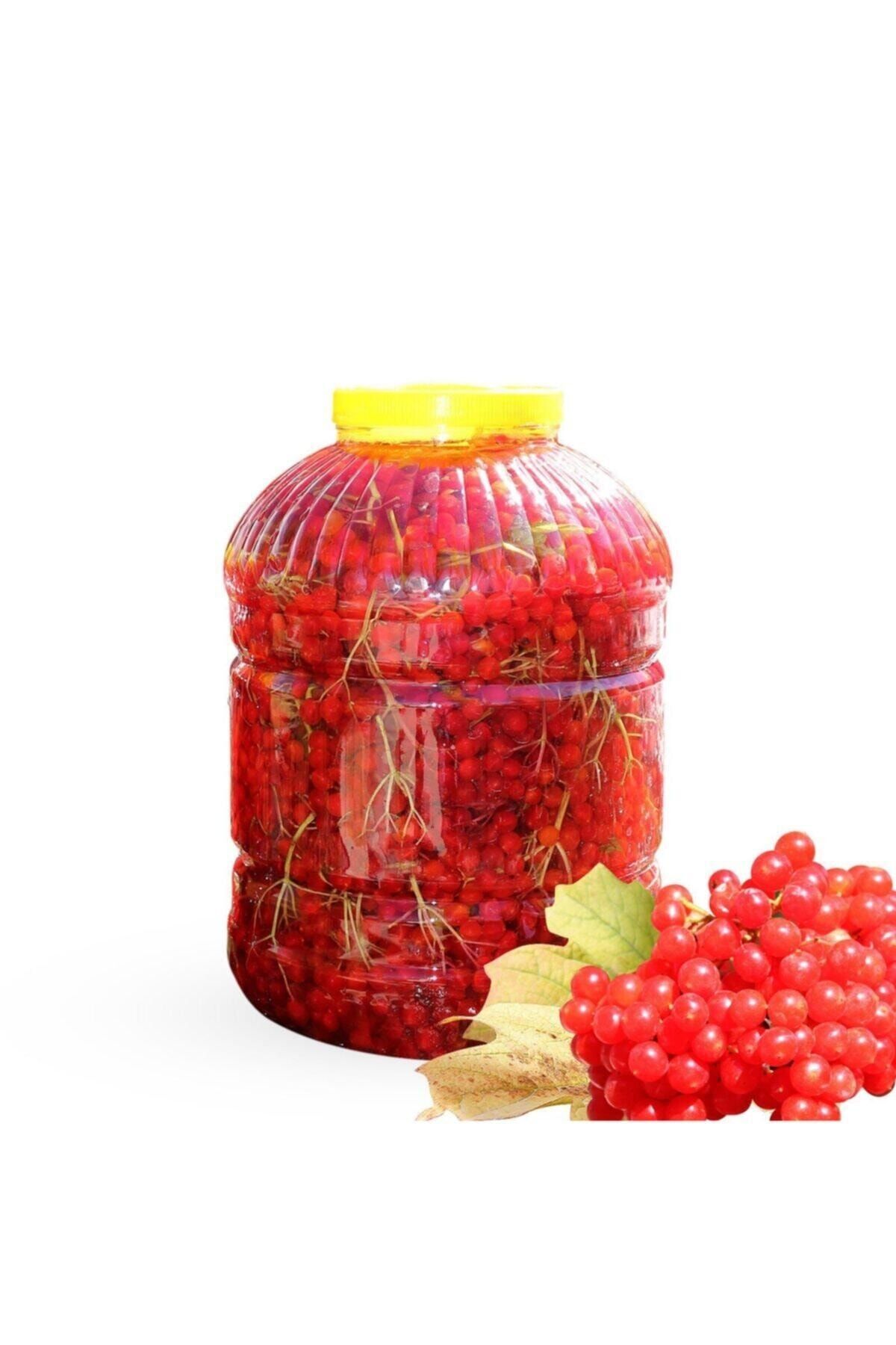 NEB TİCARET Gilaburu Girabolu Girebolu Gilaburu Girabulu Meyvesi 10 Lt