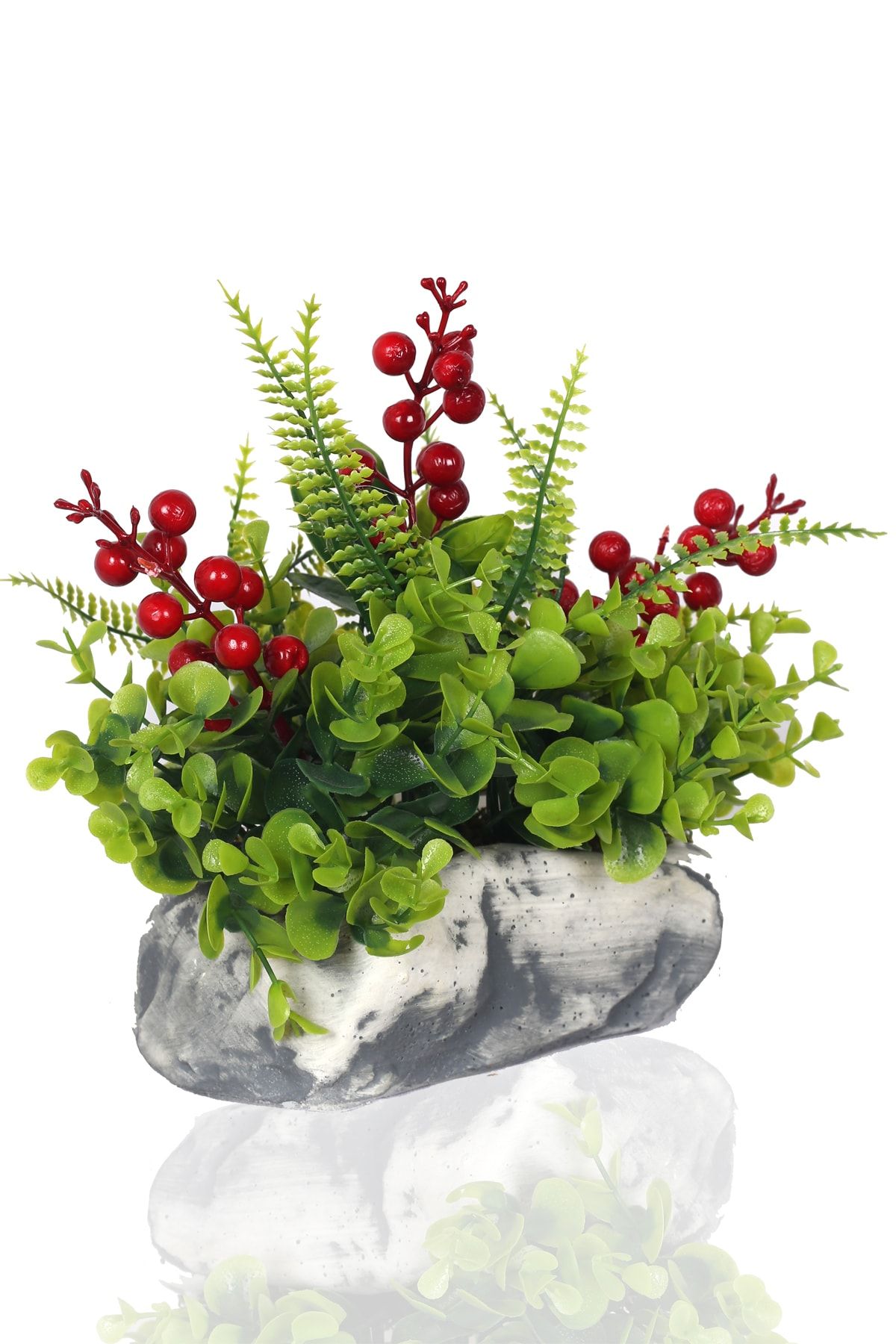 FlowerGarage34 Dekoratif Saksıda Kokina Bitkisi