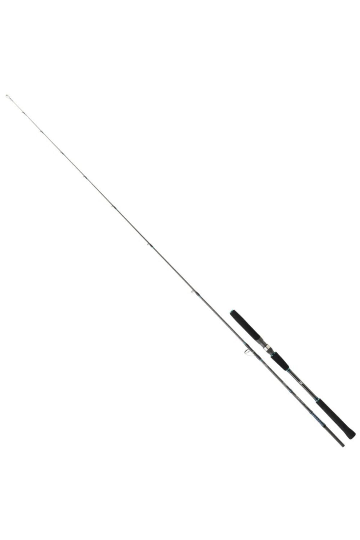 DAIWA Saltist Jigging Iı 188cm 60-180g Bait Casting Olta Kamışı