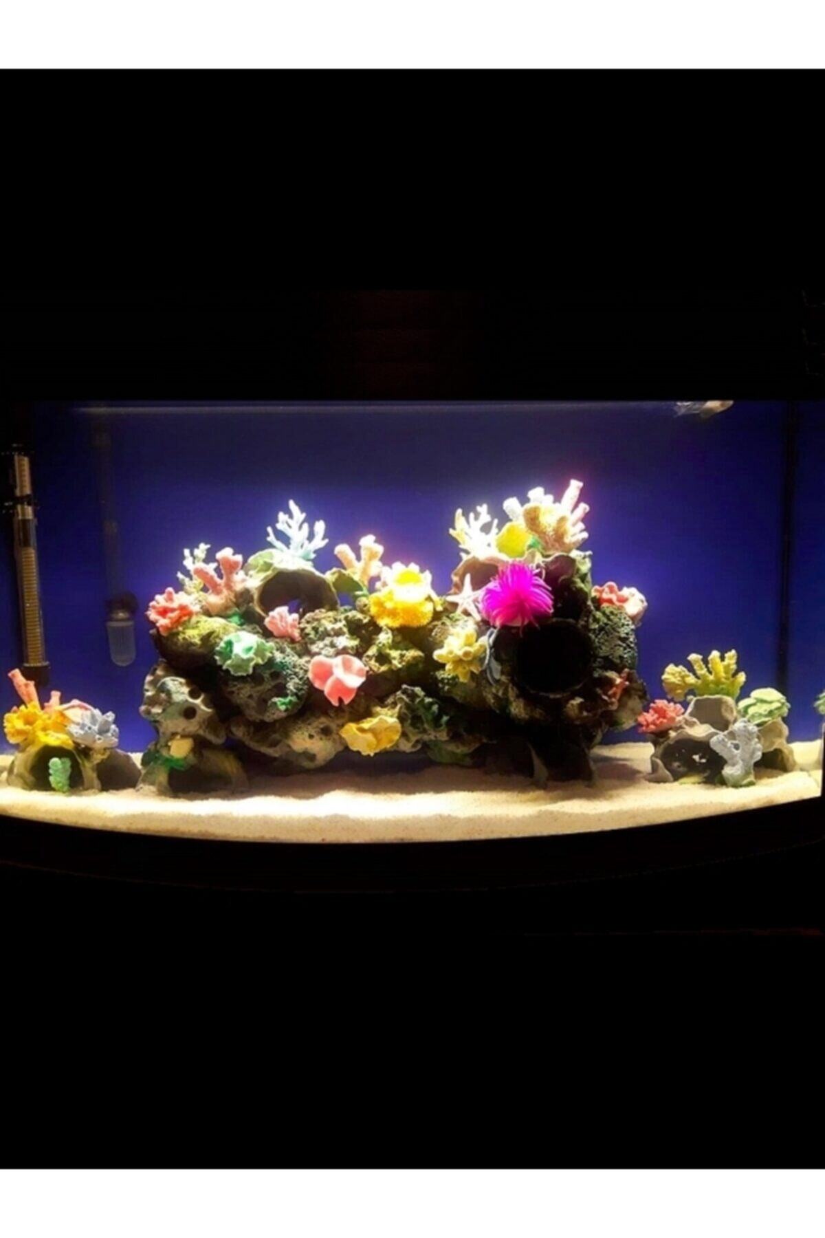 Atlas Akvaryum Led Aydınlatma 60cm 3 Renkli Grolux