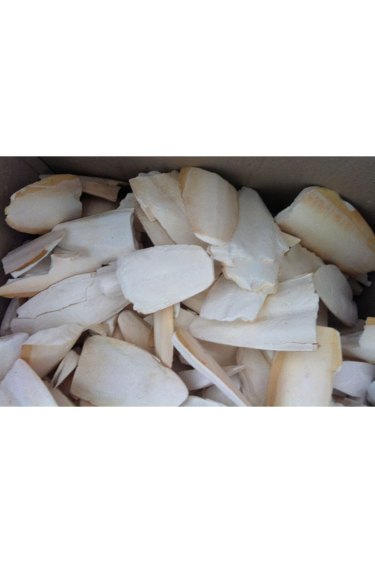 Gigwi Kırık Mürekkep Bal.kemiği (kalamar) 1 Kg