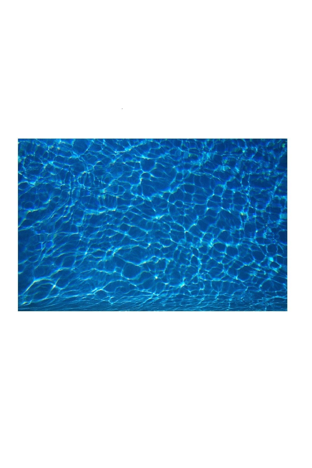 Kanki Pet 125 Cm Akvaryum Arka Fon Yapıştırma Kp1256304 125x63 Cm