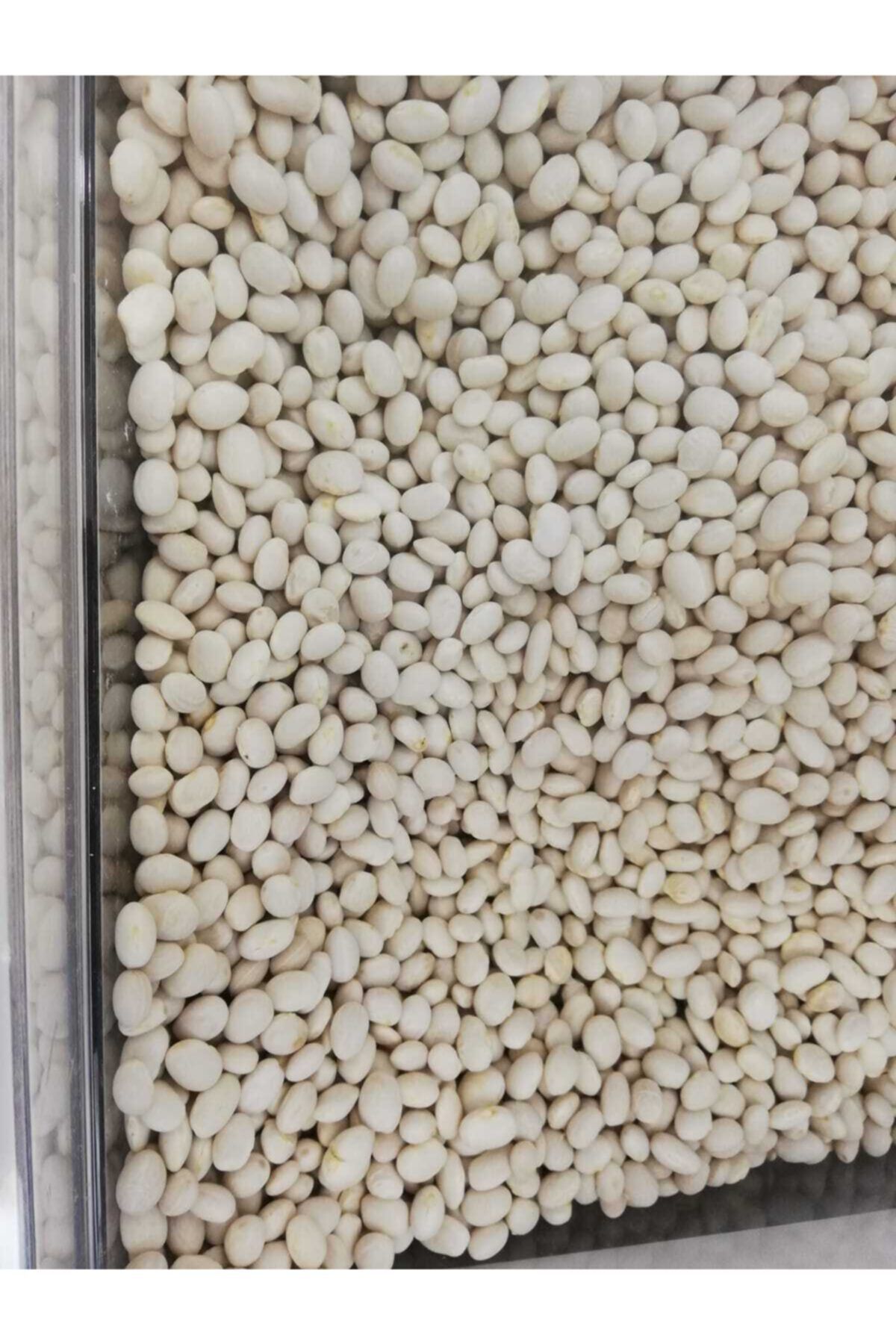 HAVVA KURUYEMİŞ Şeker Fasulye 1kg