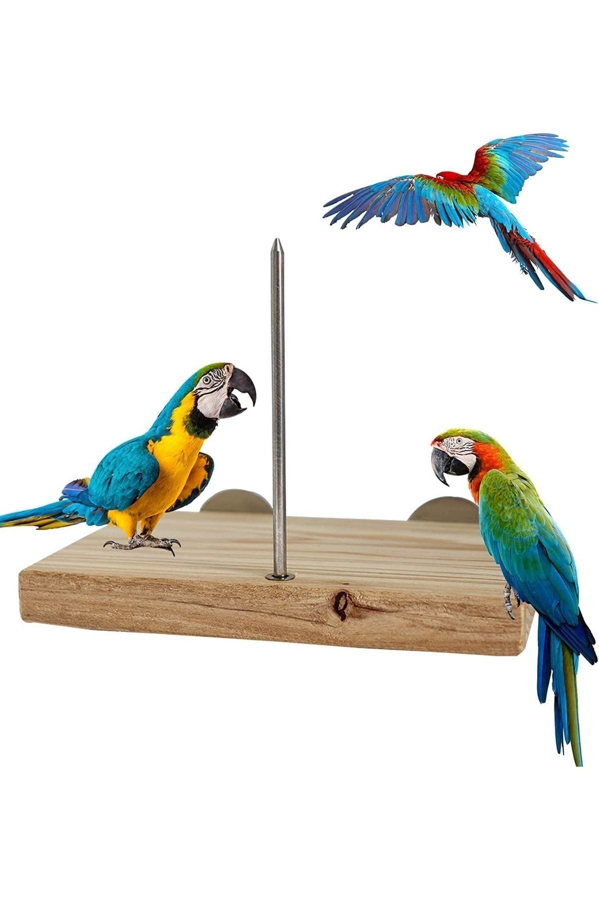 Pet hot sale bird food