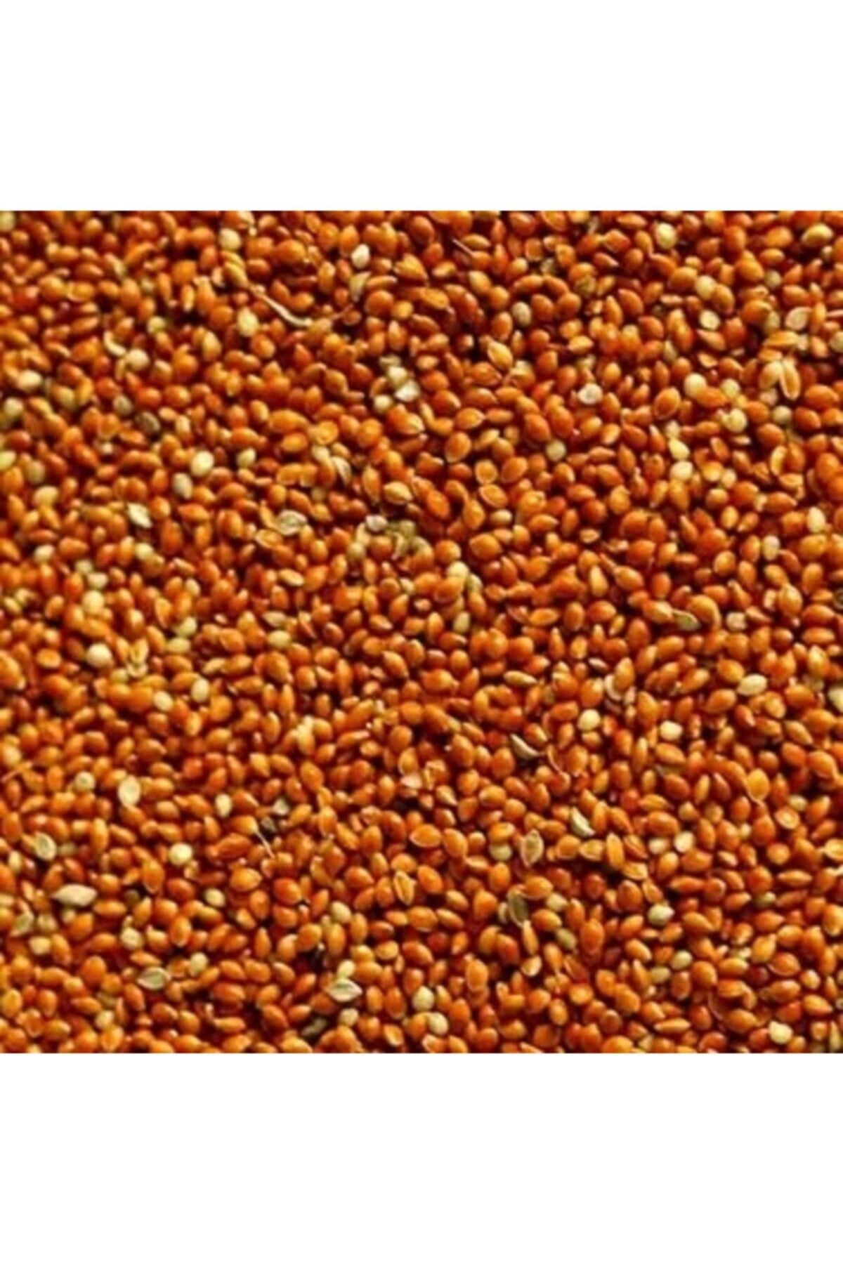 Badem Akvaryum Kızıl Darı Kırmızı Darı Kuş Yemi Dökme 180 Gr