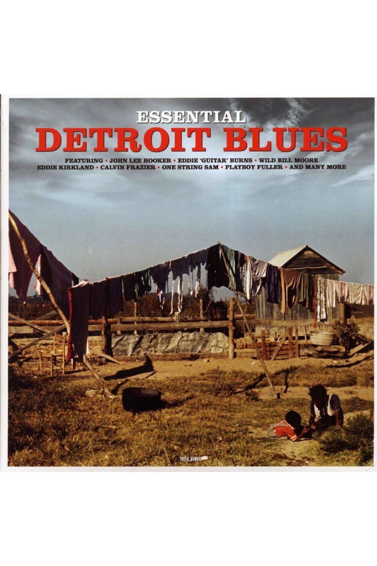 ALP PLAK Detroıt Blues Plak / Lp