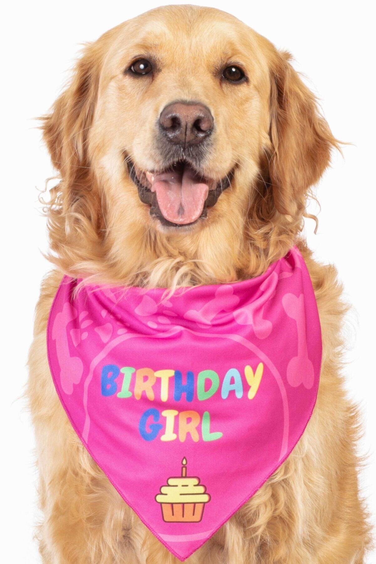 ODI STYLE Köpek Bandanası, Köpek Aksesuarı, Doğumgünü Kızı, Köpek Doğumgünü Bandanası