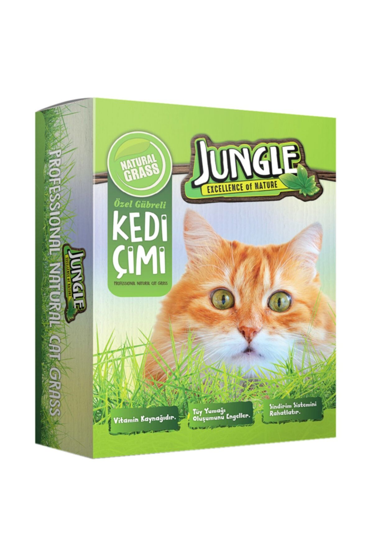 Jungle Kedi Çimi Kutulu (FİLELİ)