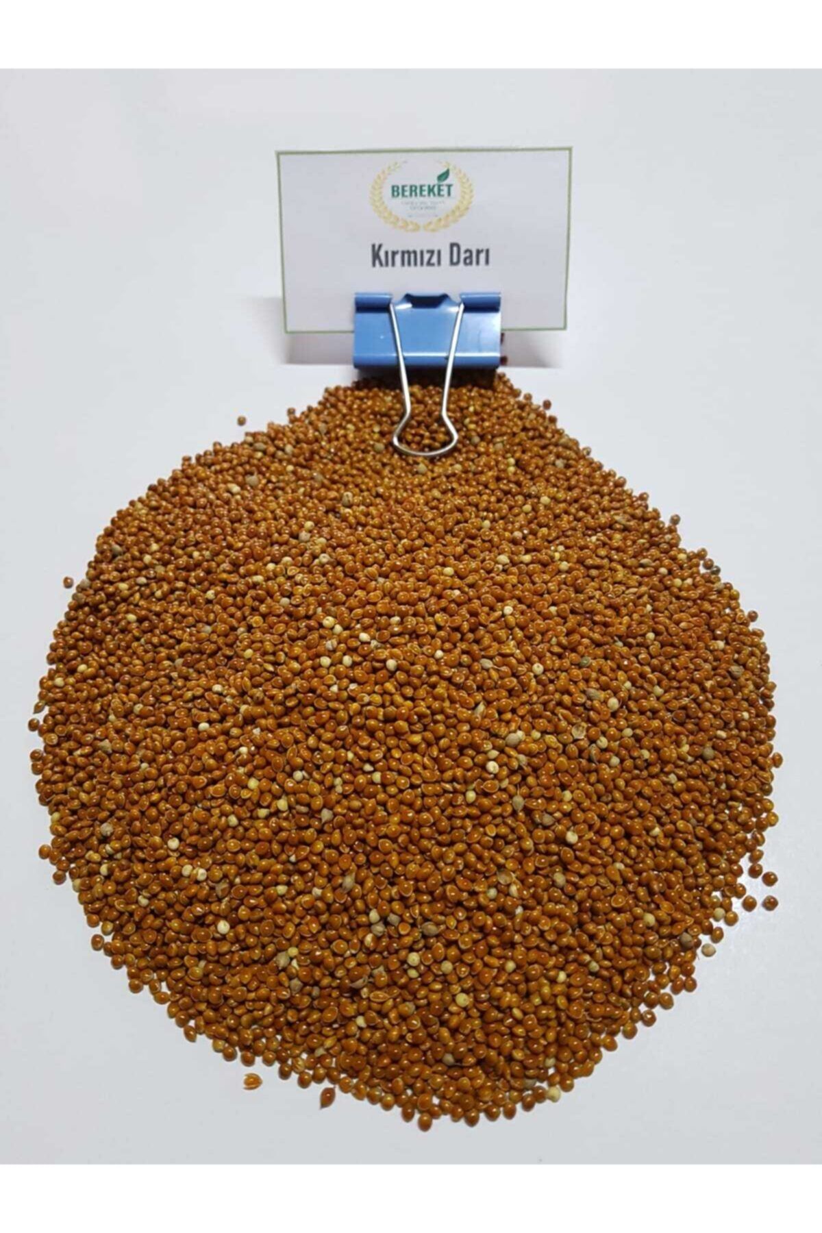 Bereketlimama Kızıl Darı- Kuş Yemi- 1 Kg