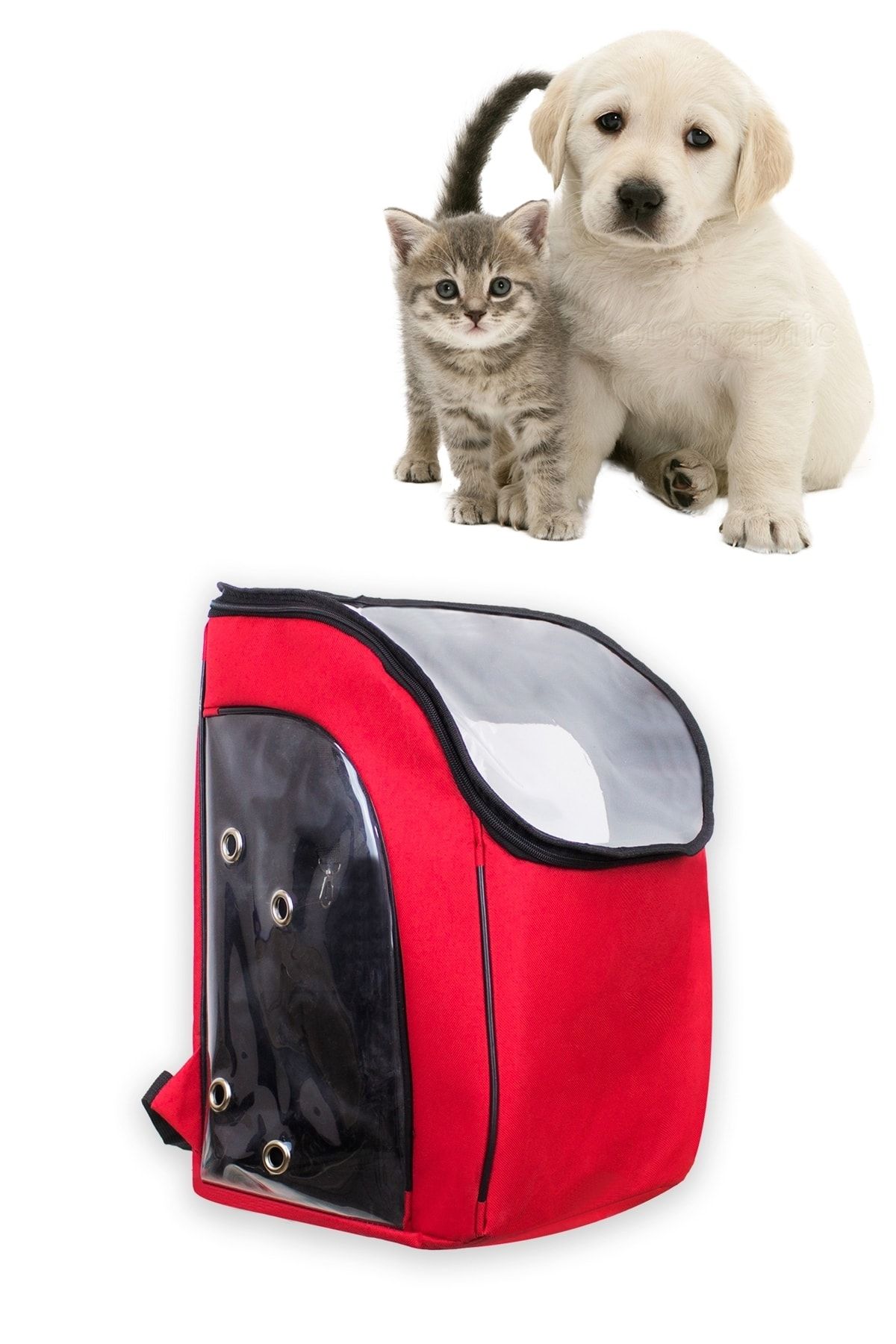 ankaflex seffaf astronot kedi kopek tasima sirt cantasi kirmizi kedi tasima kabi kutusu fiyati yorumlari trendyol