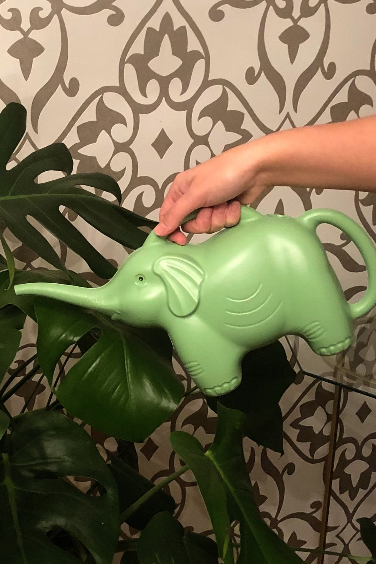 İskontoBurada Fil Sulama Kabı 2.2 Litre