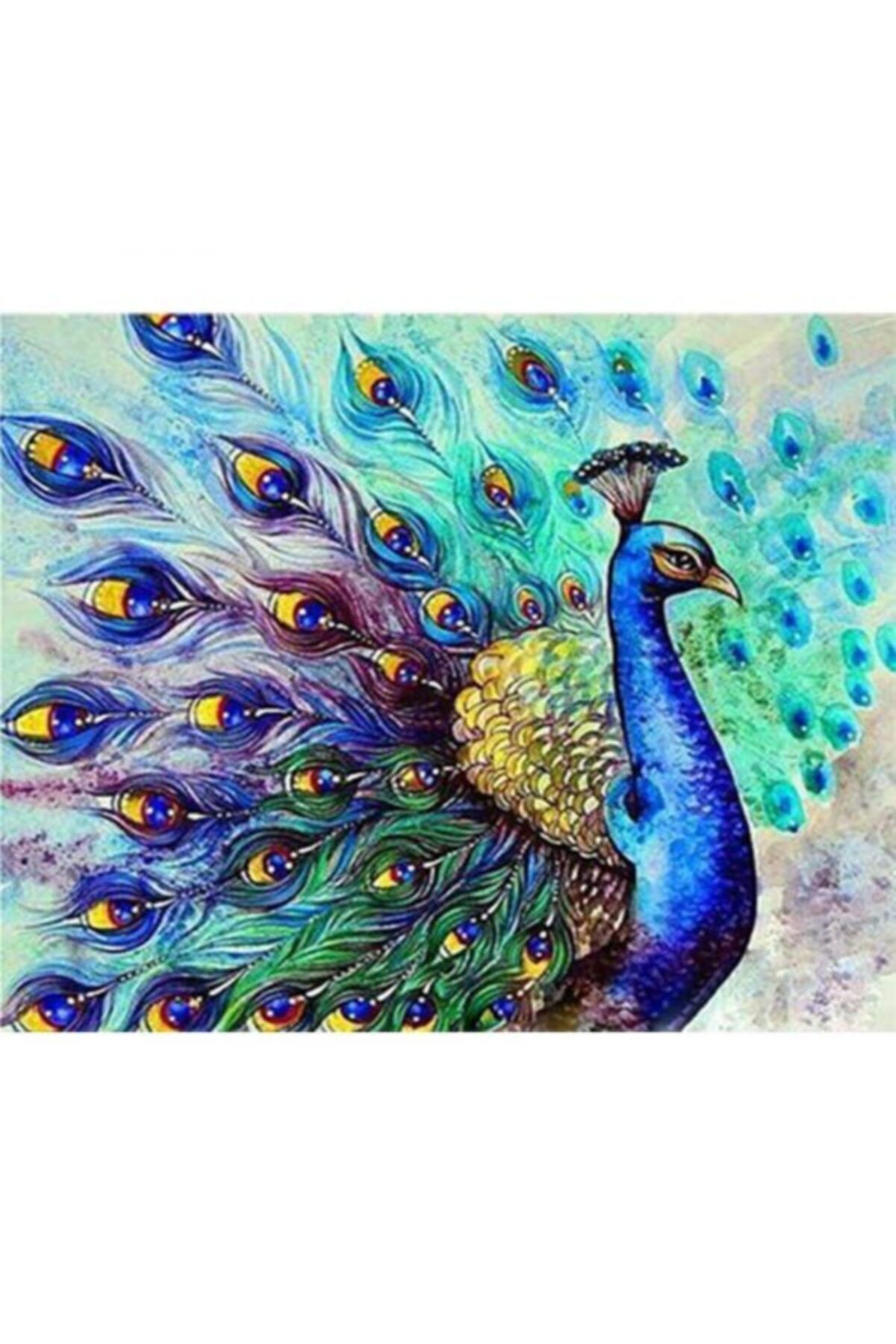 RAMAZANNAKİSVEHOBİ Sayılarla Boyama Çerçeveli 50x65cm Numaralı Akrilik Boya Seti Bereket Tavus Kuşu