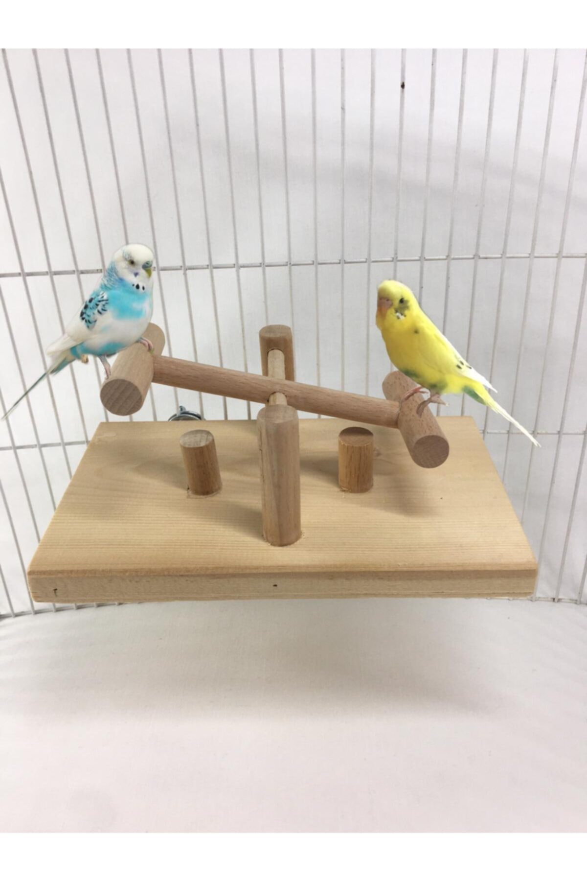 amazon bird Tahterevalli Salıncak