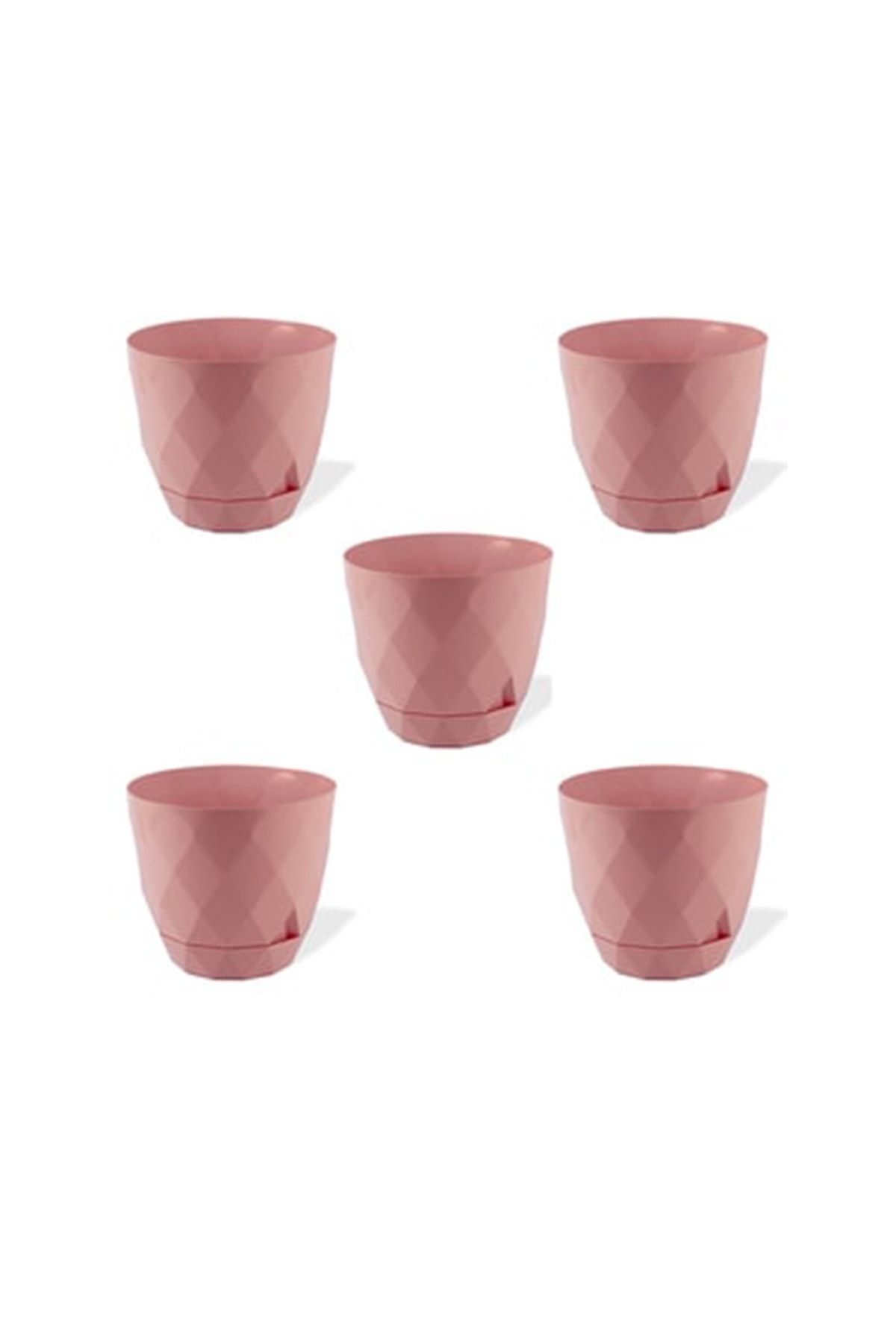 Karasu plastık Tahtakale Avm 5 Adet Yakamoz Kaktüs Sukulent Saksı 0.30 Litre Pembe