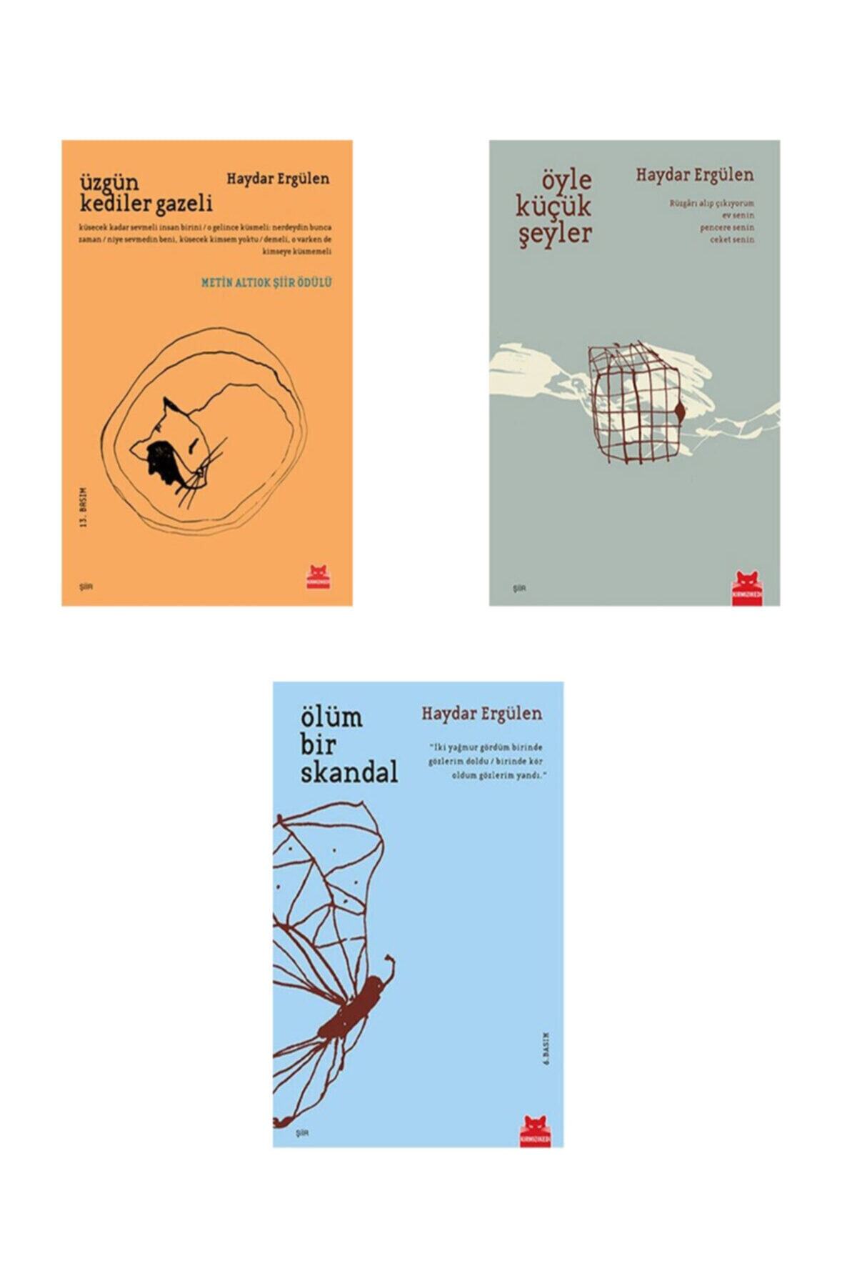 Kırmızı Kedi Yayınevi Haydar Ergülen 3 Kitap Set (üzgün Kediler Gazeli, Öyle Küçük Şeyler, Ölüm Bir Skandal)