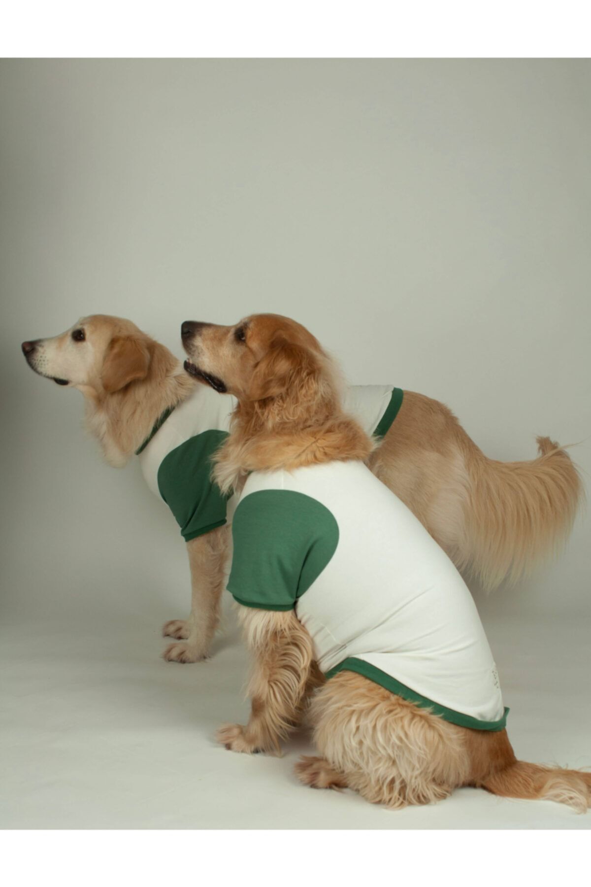 Zegypet Büyük Irk Yeşil Basic Bisiklet Yaka Köpek Sweatshirt