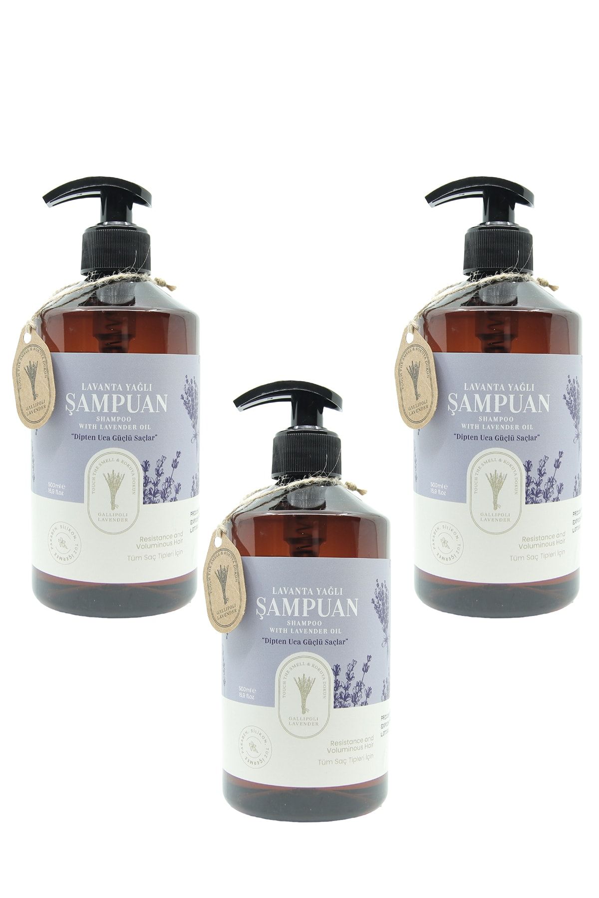 Gallipoli Lavender Doğal Bitkisel Lavanta Yağlı Şampuan 500 ml 3 Adet