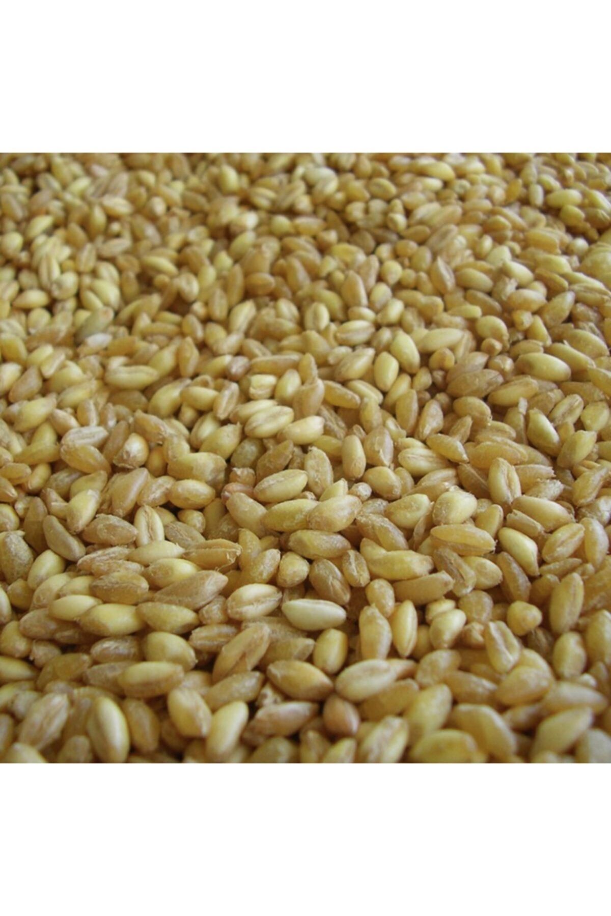 Halaoğlu Aşurelik Buğday 1kg