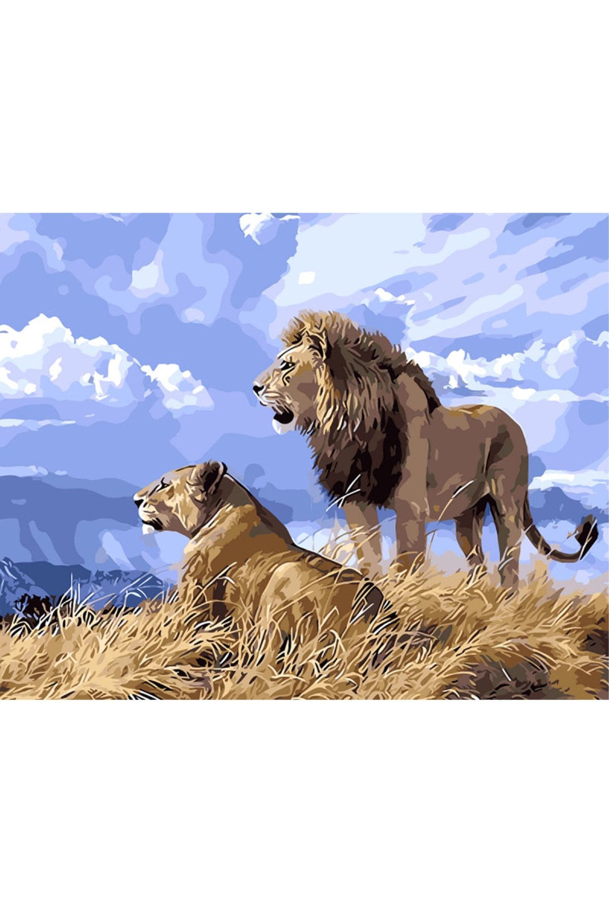 wombhobby Aslan Sürüsü Sayılarla Boyama Seti 40x50 Cm (tuvale Gerili)