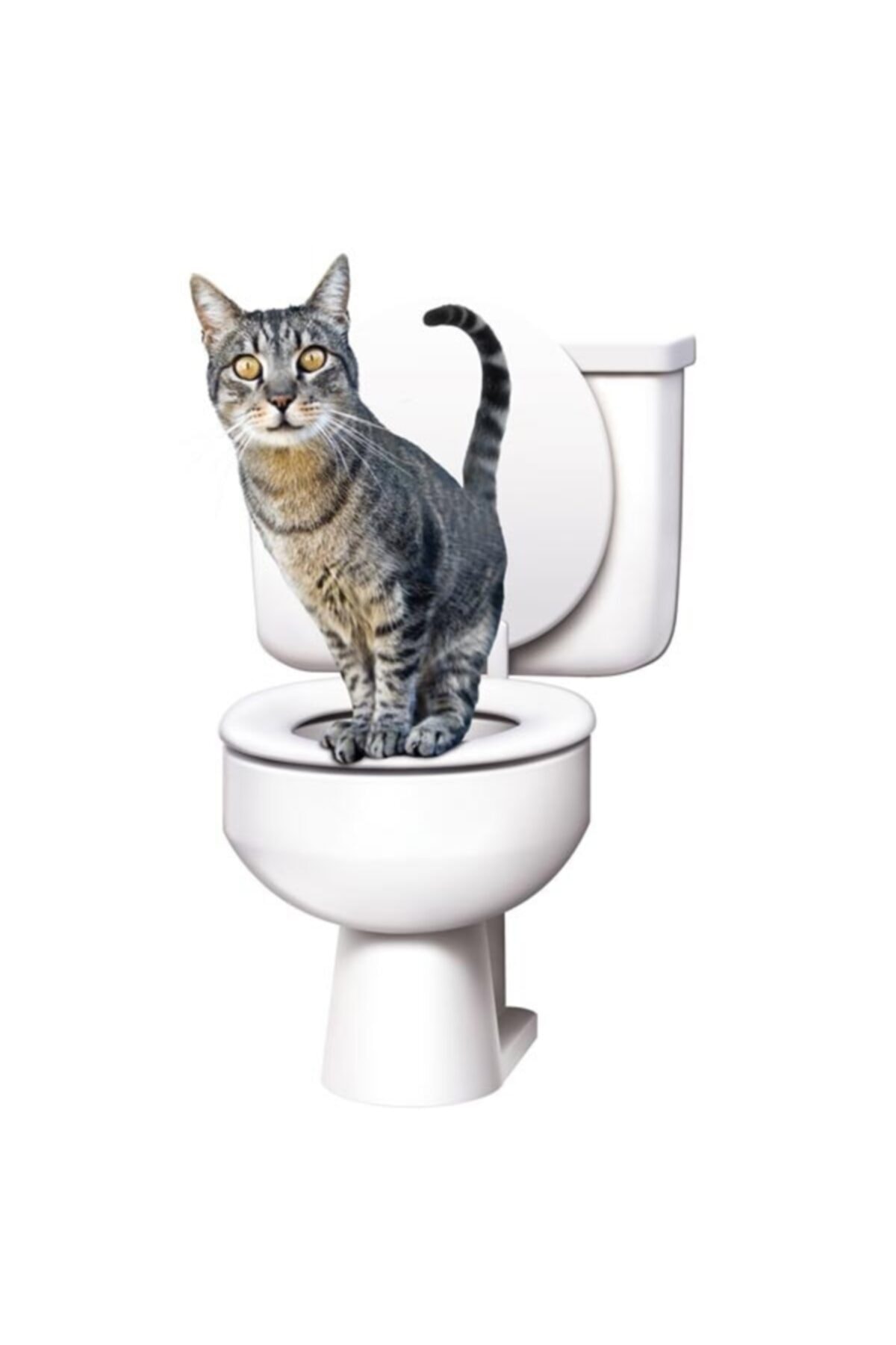 Pia Store Citikitty- Kedi Klozet Eğitim Seti
