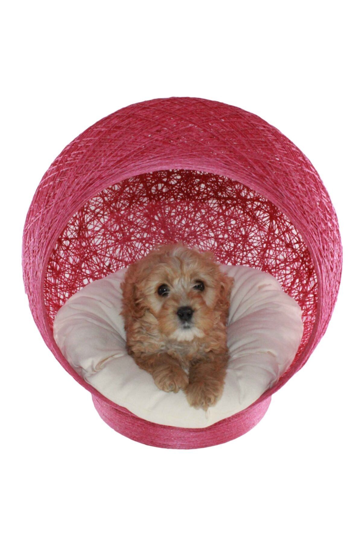 Alpi Küçük Irk Köpek Yatağı Candy Pink