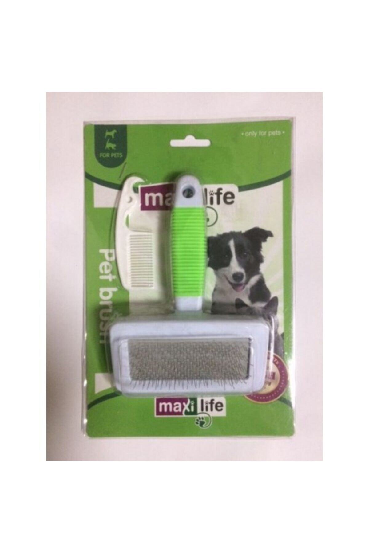 Maxi Life Ince Telli Fırça - S