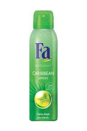Fa Koltuk Alti Roll On Neutrogena Cilt Bakimi 100 Indirimli Gardrops