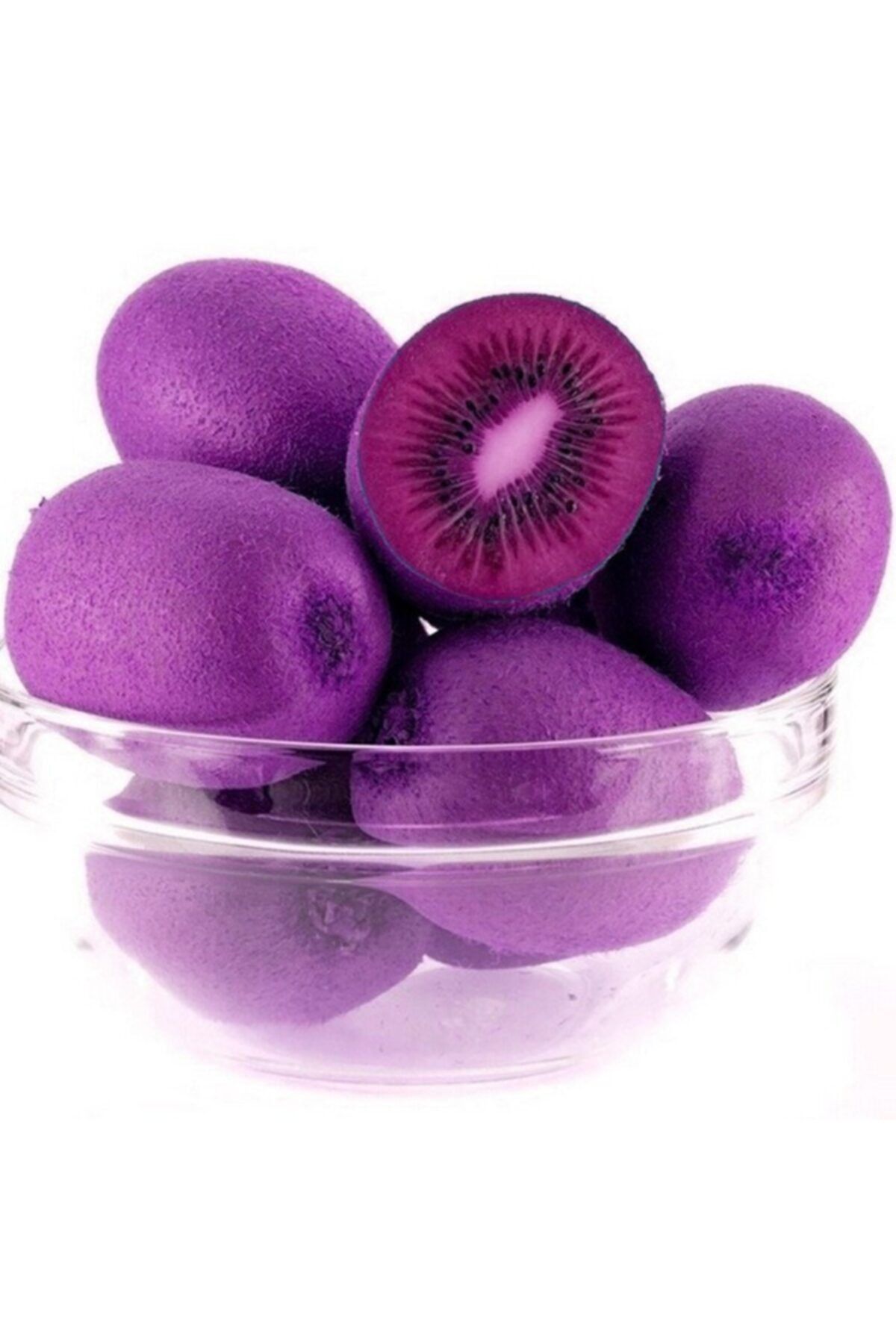 Berke Fidancılık Mor Kivi Actinidia Purpurea Hardy Kivi + 60 cm Torbalı