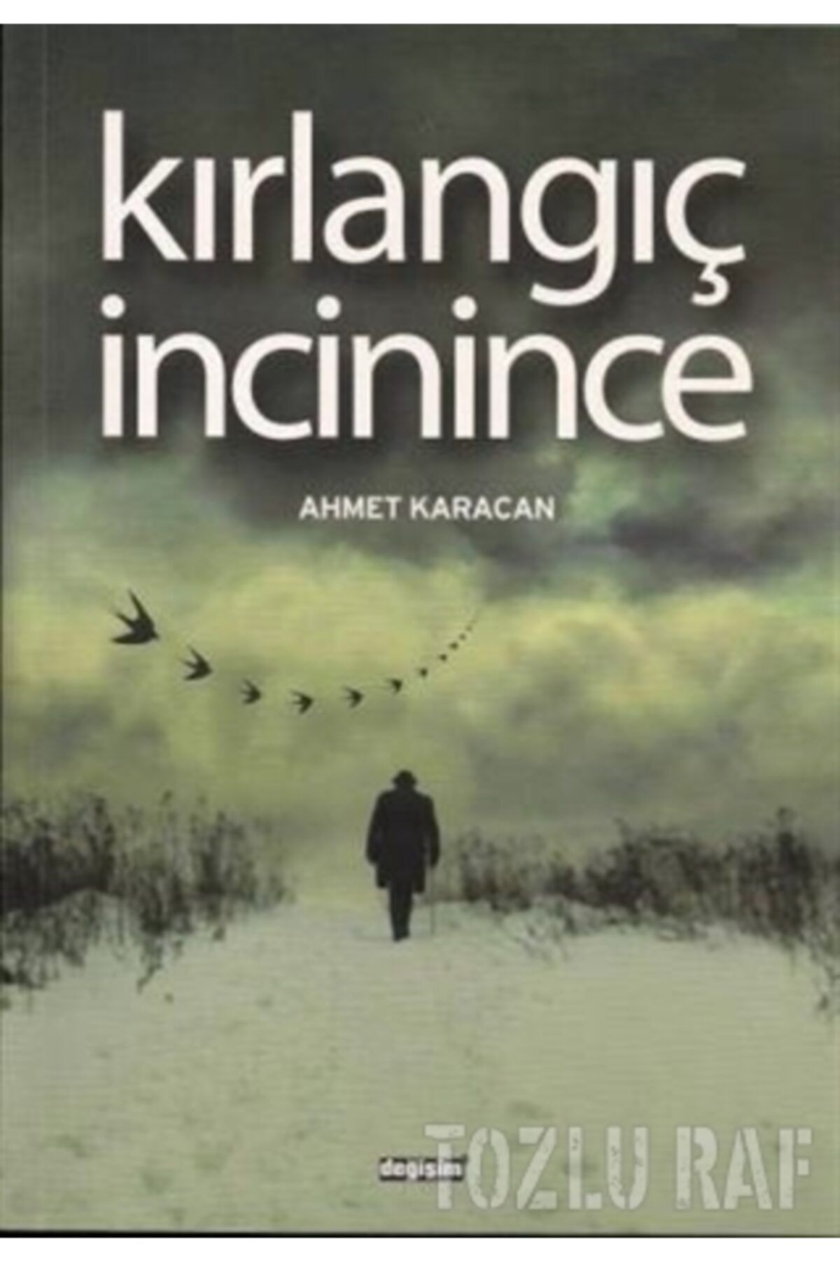 Değişim Yayınları Kırlangıç İncinince