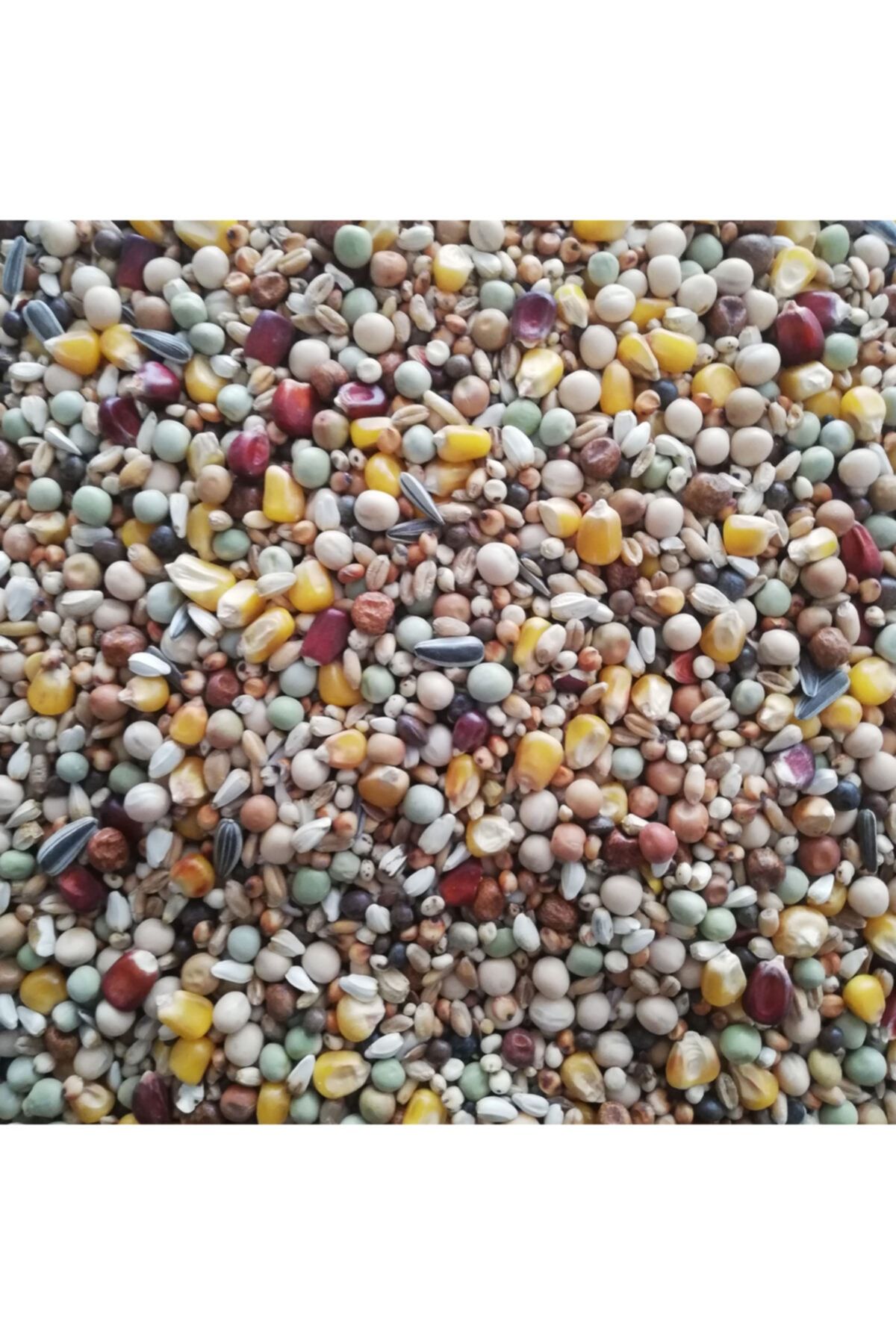 natural tum sezon guvercin yemi 25 kg fiyati yorumlari trendyol