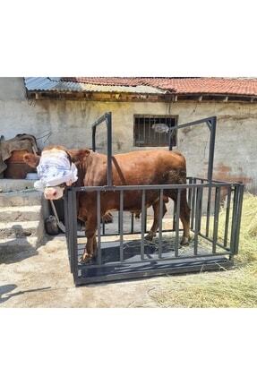 Kafesli Baskül 3 Ton 100x200 Cm Şarjlı Çift Kuşak Image 0