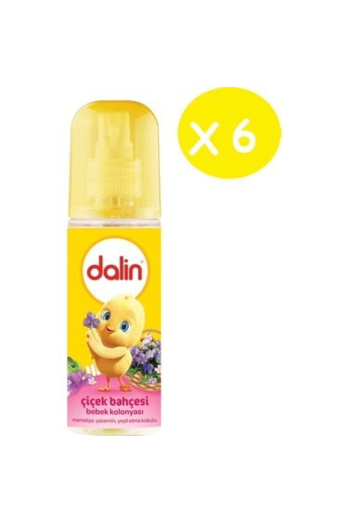 Dalin Çiçek Bahçesi X 6 Lı Kolonya